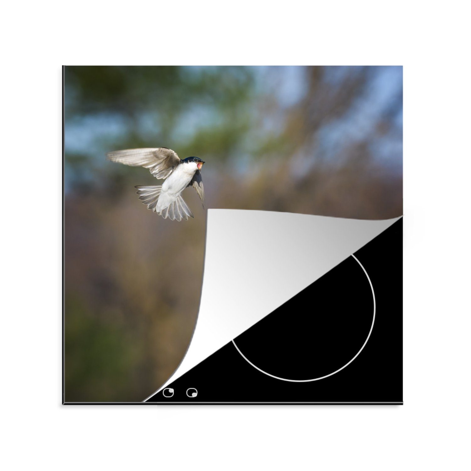 MuchoWow Herdblende-/Abdeckplatte Nahaufnahme von zwei kämpfenden Vögeln in der Nähe eines Nistkastens, Vinyl, (1 tlg), 78x78 cm, Ceranfeldabdeckung, Arbeitsplatte für küche