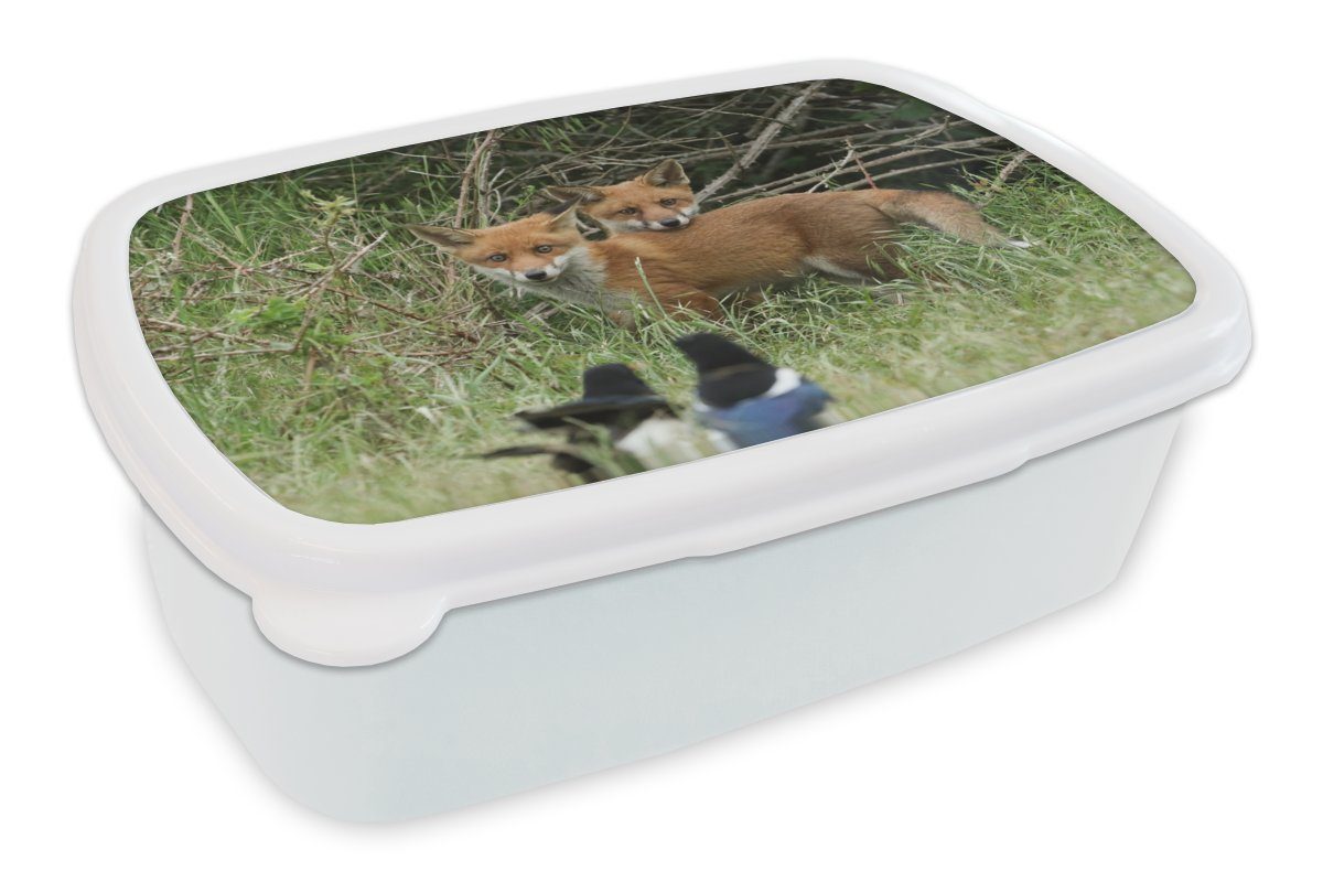 MuchoWow Lunchbox Tiere - Vogel - Füchse, Kunststoff, (2-tlg), Brotbox für Kinder und Erwachsene, Brotdose, für Jungs und Mädchen weiß | Lunchboxen