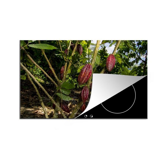 MuchoWow Herdblende-/Abdeckplatte Reife rote Kakaobohnen in einem wunderschönen Dschungel Vinyl (1 tlg) Ceranfeldabdeckung für die küche Induktionsmatte
