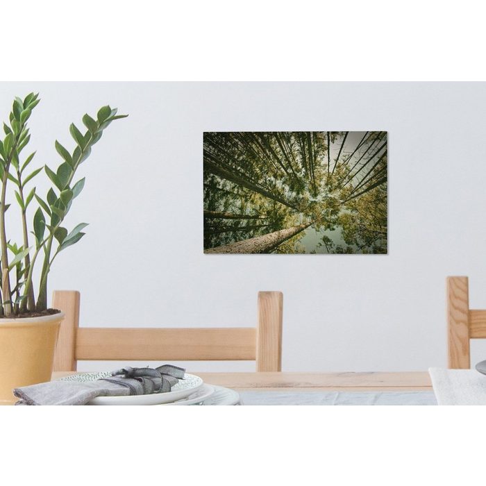 OneMillionCanvasses® Leinwandbild Foto vom Boden der Fichte (1 St) Wandbild Leinwandbilder Aufhängefertig Wanddeko AV10303