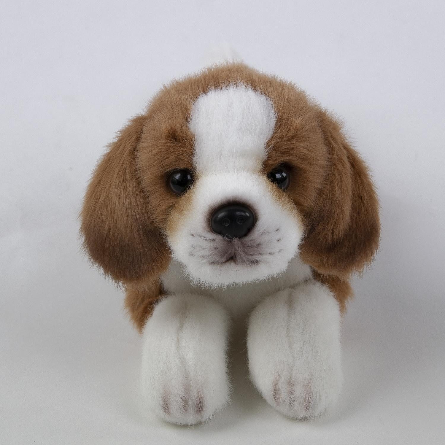 Teddys Rothenburg Kuscheltier Beagle liegend 28 cm Plüschhund Stofftier (Pl günstig online kaufen