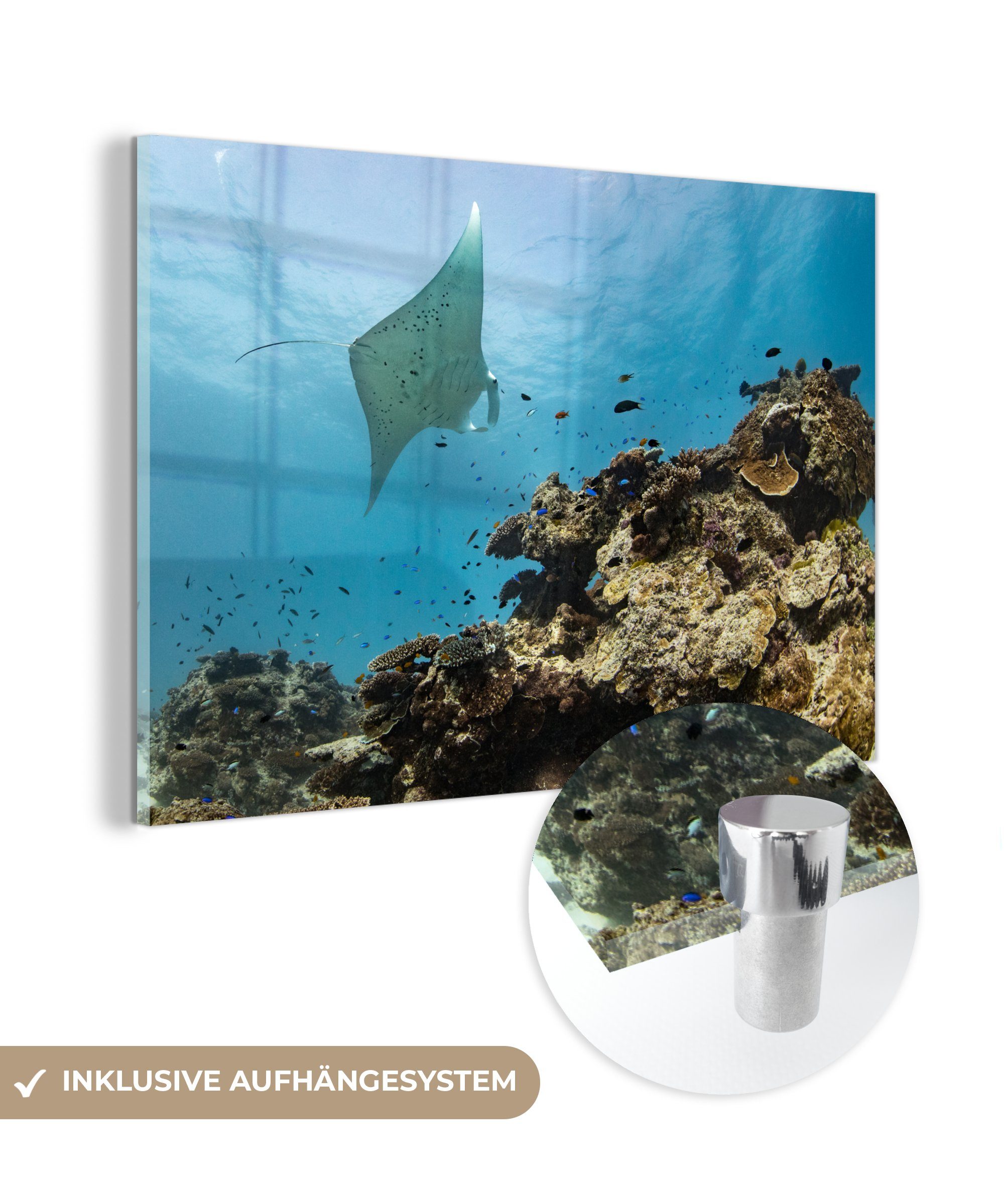 MuchoWow Acrylglasbild Die Reefs, des Korallen St), Barrier Schlafzimmer Acrylglasbilder (1 Great Wohnzimmer &