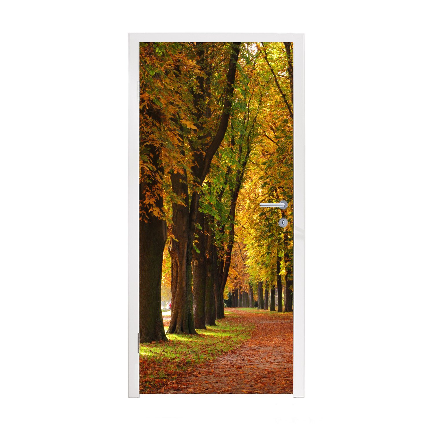 MuchoWow Türtapete Eine von Kastanienbäumen gesäumte Straße in Stuttgart, Deutschland, Matt, bedruckt, (1 St), Fototapete für Tür, Türaufkleber, 75x205 cm