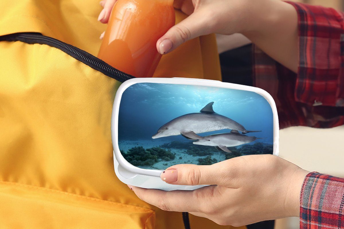MuchoWow Lunchbox Delfin und für Kinder - Erwachsene, (2-tlg), Kalb weiß Kunststoff, Brotbox für - Brotdose, Jungs und Meer, Mädchen