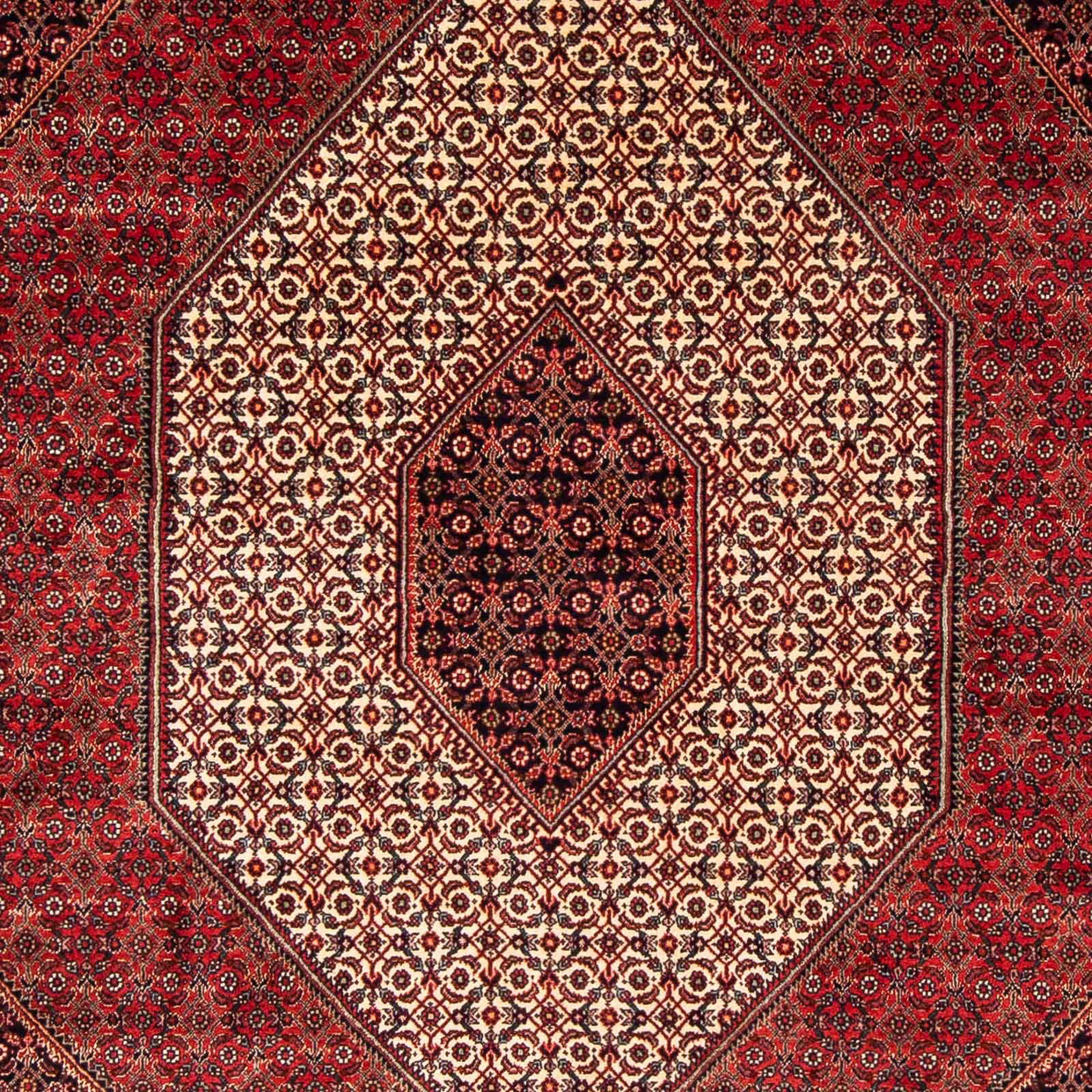 Orientteppich Perser - Bidjar Handgeknüpft, 171 248 Einzelstück mit Zertifikat mm, Wohnzimmer, - - Höhe: morgenland, 15 cm x rechteckig, dunkelrot