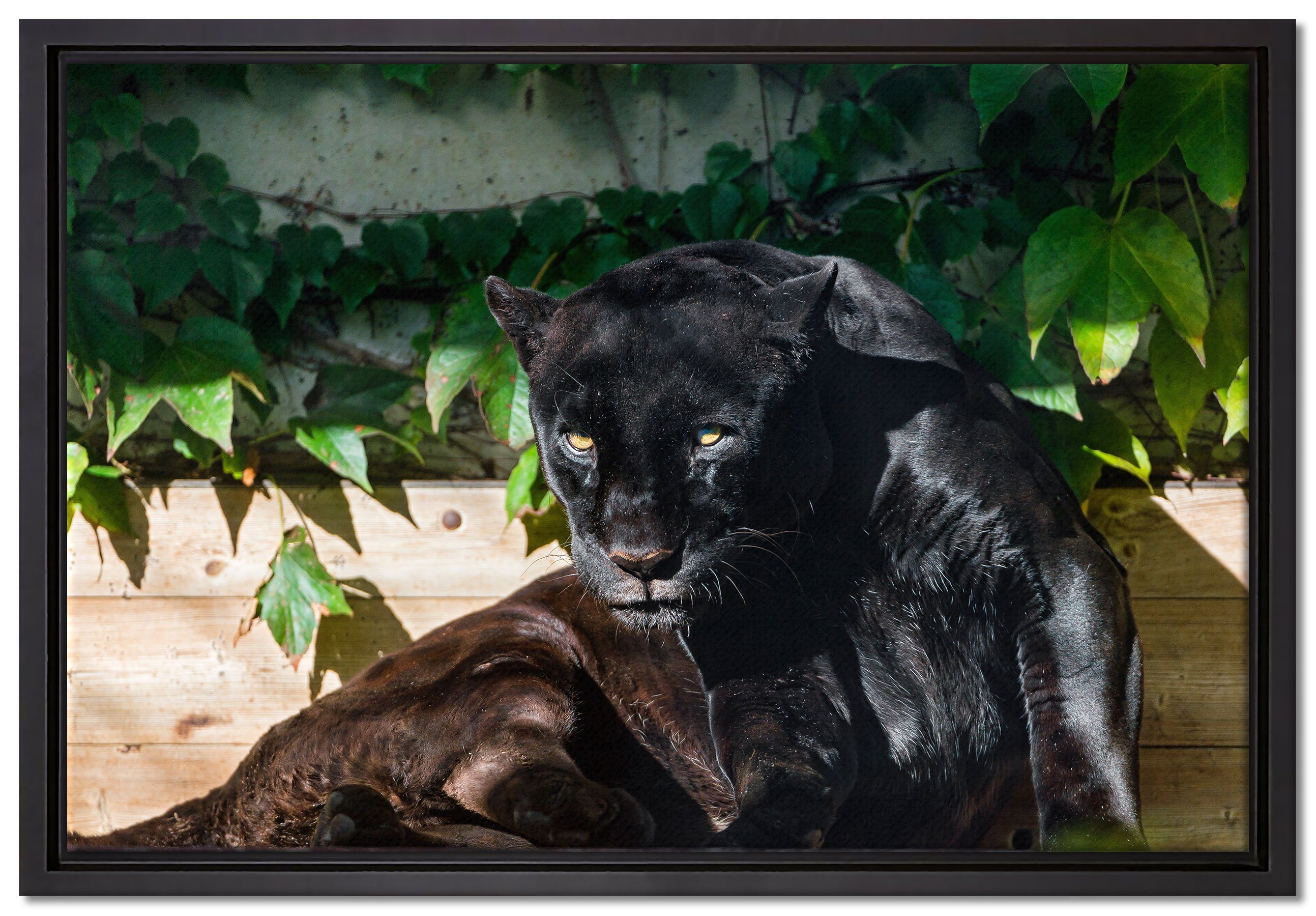 Leinwandbild St), Leinwandbild in inkl. einem Pixxprint (1 Schattenfugen-Bilderrahmen fertig gefasst, schwarzer Panther, bespannt, Wanddekoration Zackenaufhänger