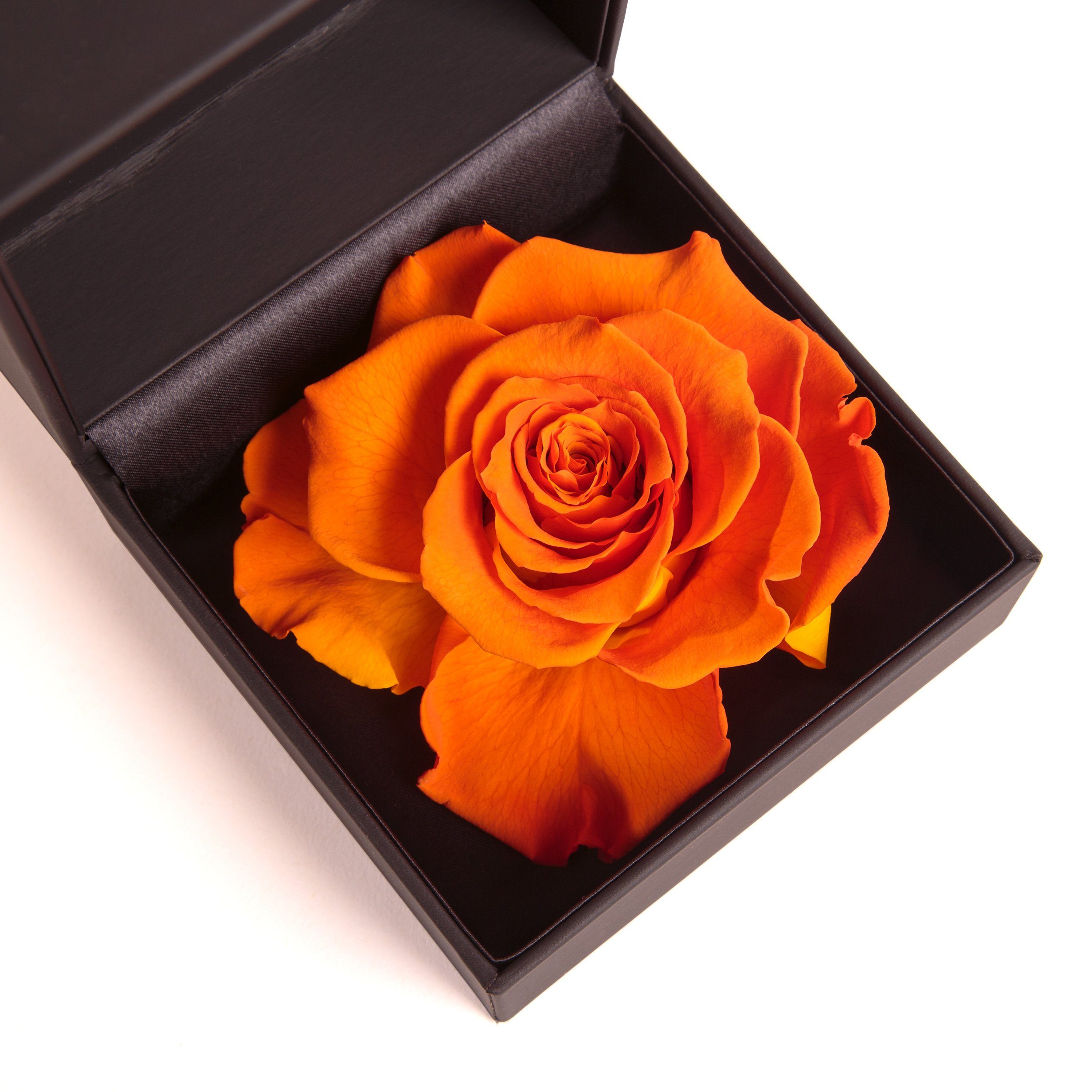 Kunstblume Rosenbox Ringbox Groß cm, Ringdose Langlebige Heidelberg, in Rose 9 Orange Infinity konserviert Rose Rose, Höhe Box SCHULZ ROSEMARIE