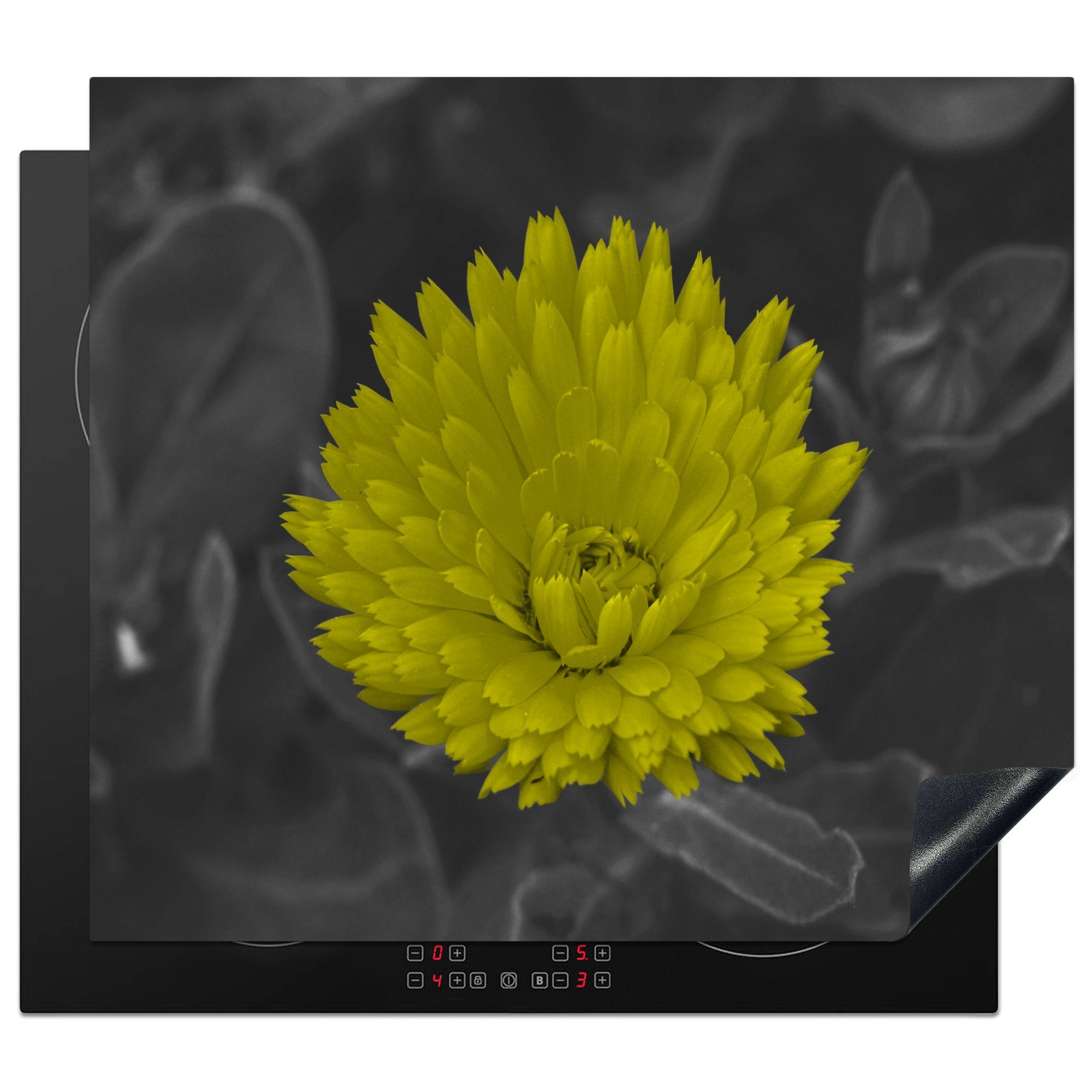 MuchoWow Herdblende-/Abdeckplatte Blumen - Aquarell - Löwenzahn, Vinyl, (1 tlg), 59x52 cm, Ceranfeldabdeckung für die küche, Induktionsmatte