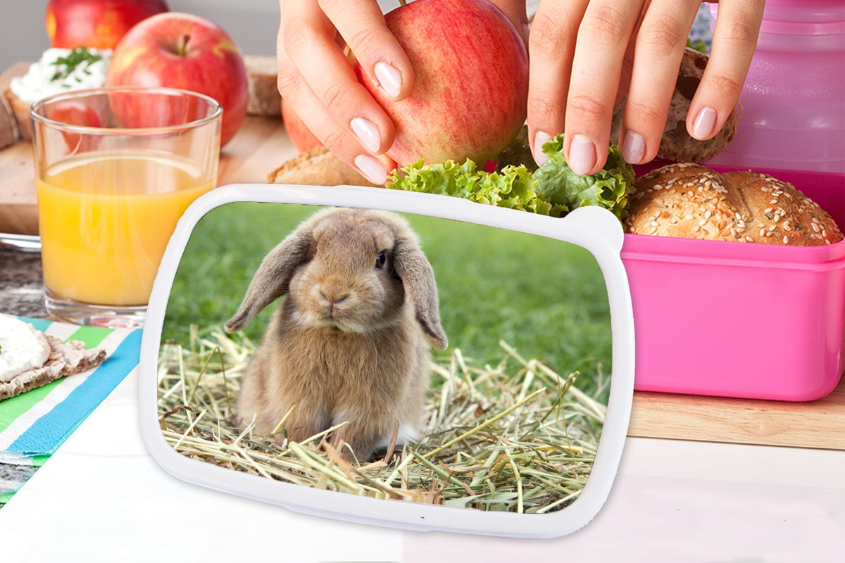 grüner Brotbox für (2-tlg), MuchoWow Lunchbox Snackbox, Landschaft, Kunststoff, Erwachsene, Kinder, in Mädchen, Kaninchen rosa Kunststoff Brotdose