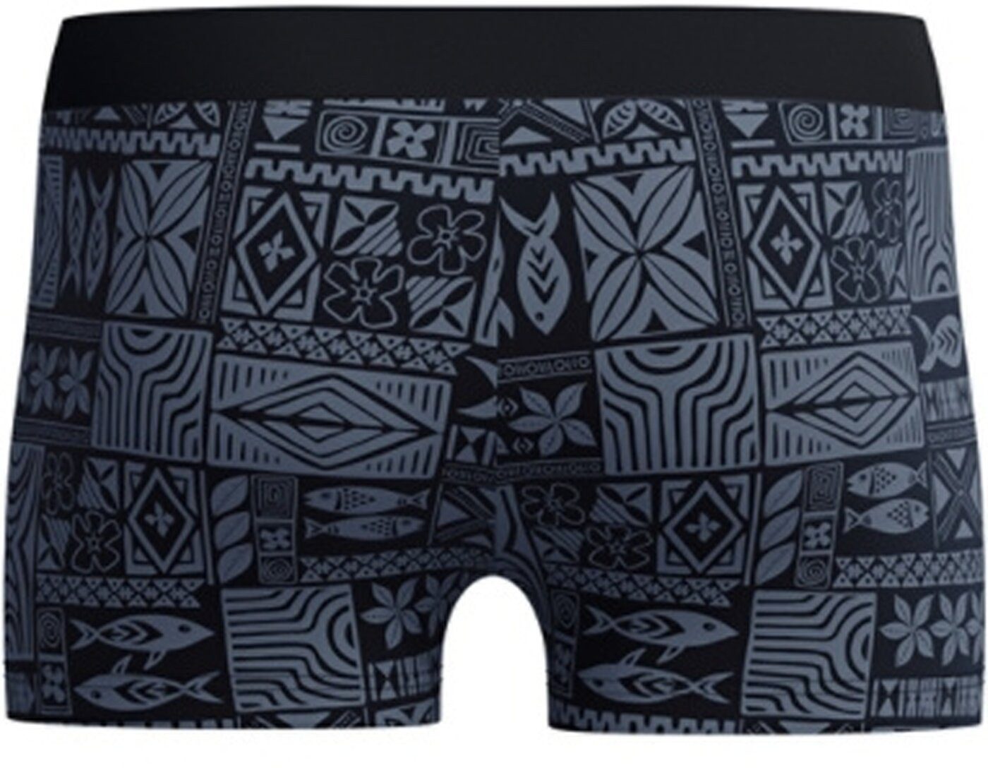 Speedo Badeshorts Mens Valmilton Aquashort Anthracite günstig online kaufen