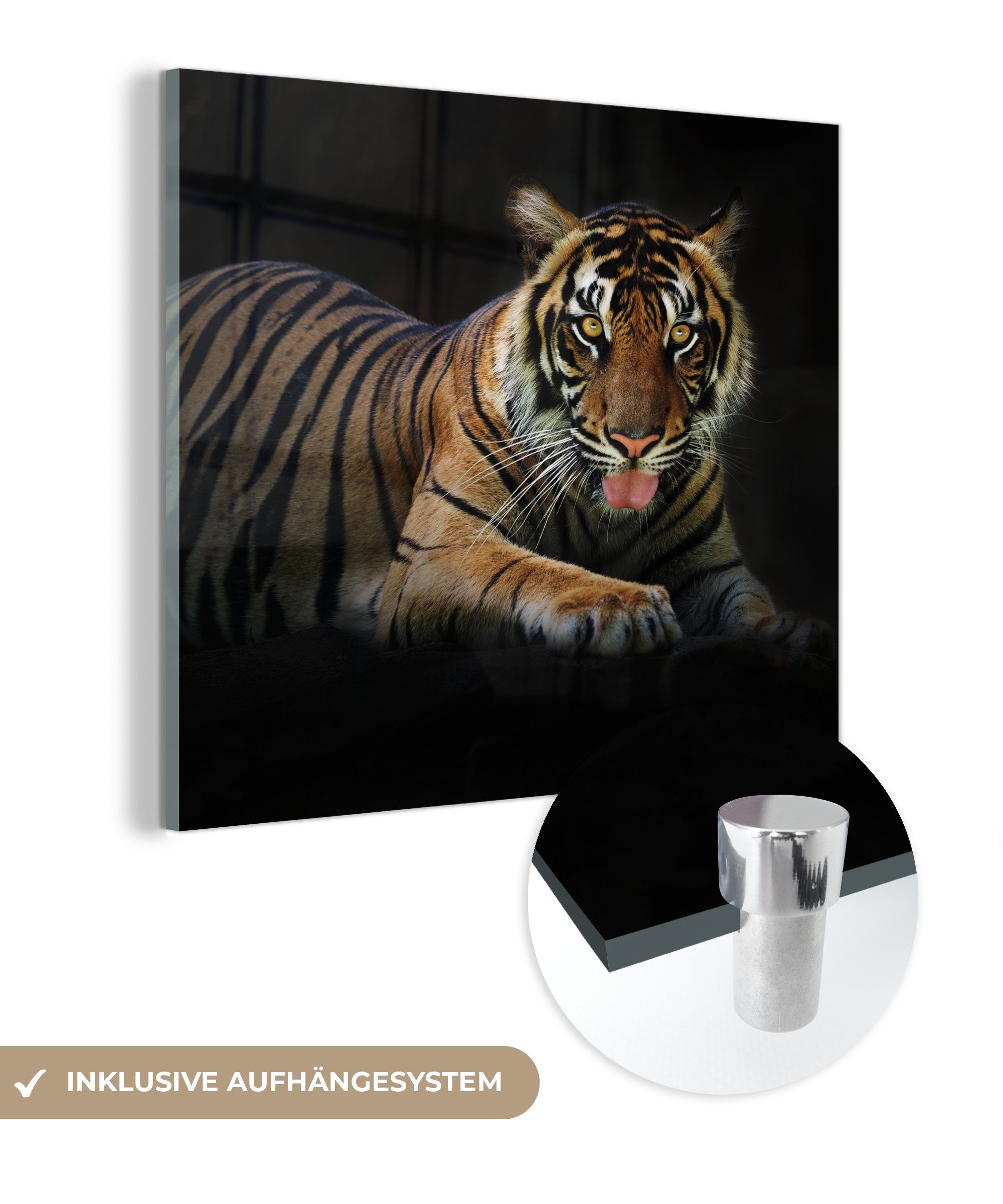 MuchoWow Acrylglasbild Tiger - Schwarz - Rest, (1 St), Glasbilder - Bilder auf Glas Wandbild - Foto auf Glas - Wanddekoration