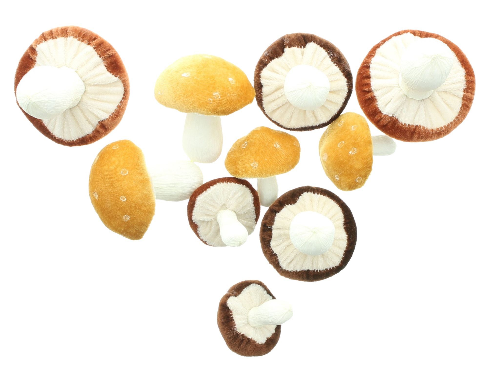 Dekoleidenschaft Dekofigur Dekopilz "Samt" Dekofigur Pilz Ø 5 - 8 cm, Pilzset, Herbstdeko (10 St., im Set), Pilzdeko, kleine naturgetreue Pilzfiguren mit Samt-Oberfläche
