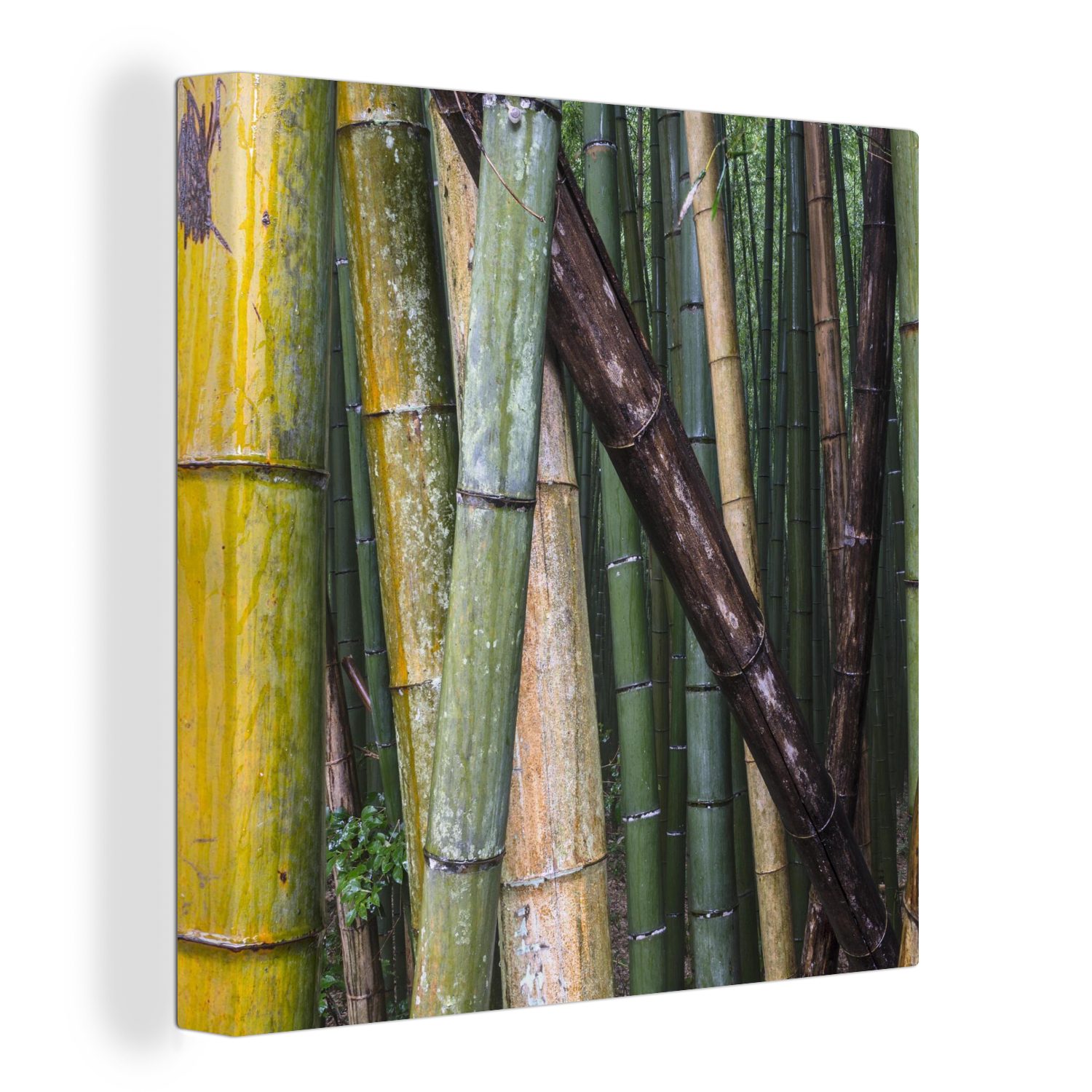 OneMillionCanvasses® Leinwand Arashiyama-Bambuswald für Leinwandbild Bilder in Japan, Schlafzimmer Viele Bambusarten (1 Wohnzimmer im St),