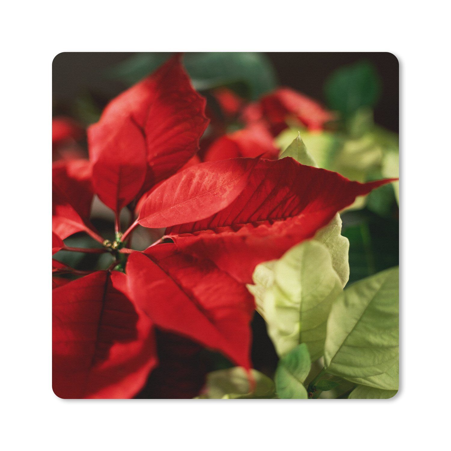 MuchoWow Mauspad (1-St), Mouse pad groß, Schreibtisch Zubehör, 50x50 cm