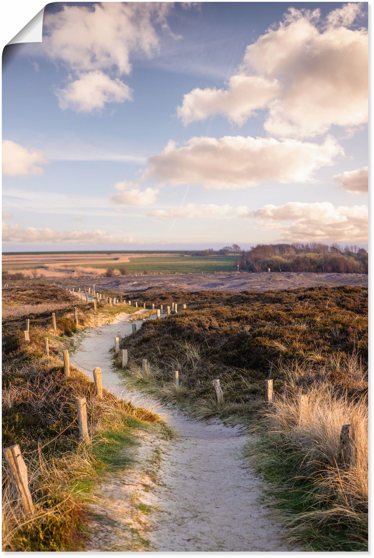 Artland Wandbild Weg durch Naturschutzgebiet Morsum-Kliff, Felder (1 St),  als Alubild, Leinwandbild, Wandaufkleber oder Poster in versch. Größen | Poster