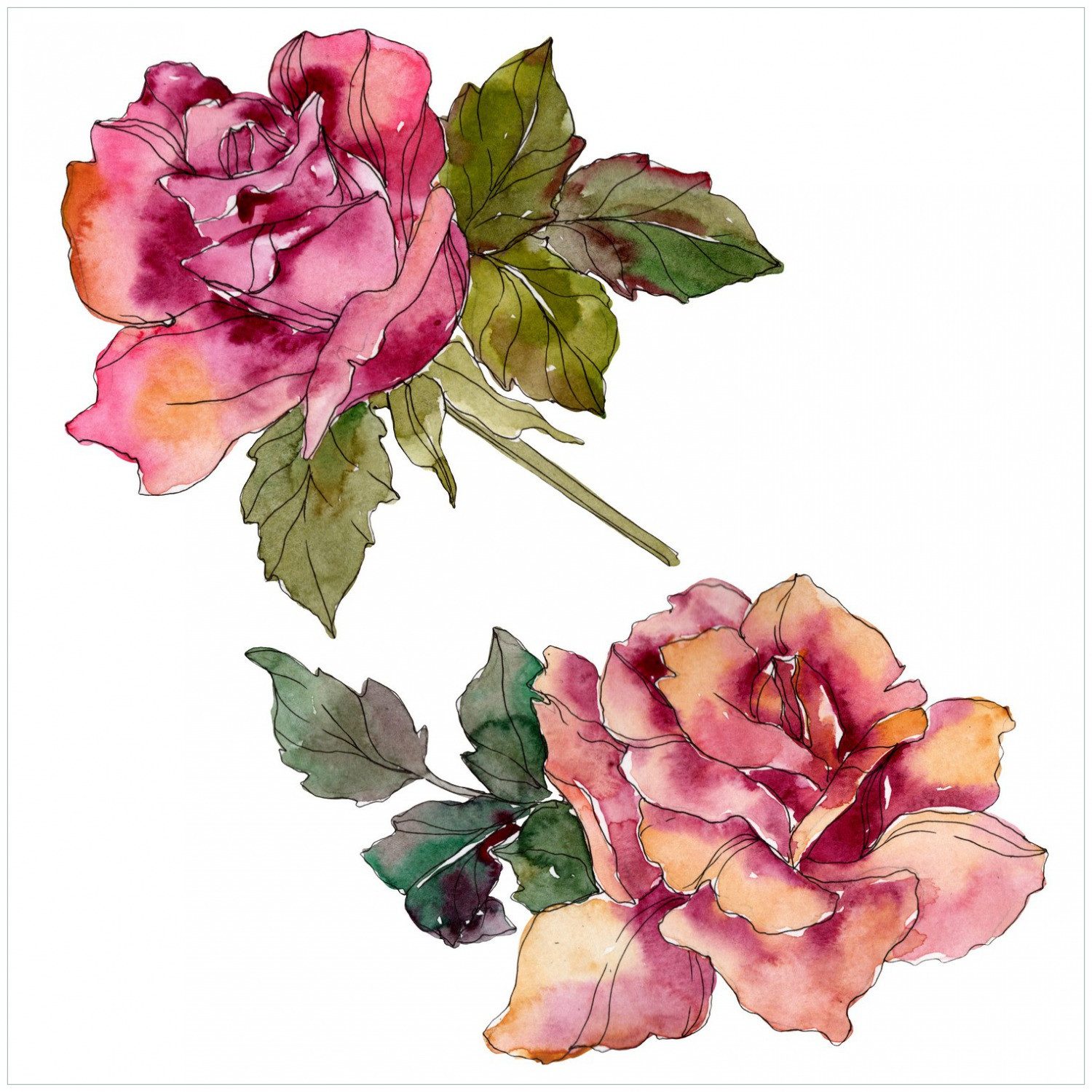 Wallario Möbelfolie Rosen im Aquarellstil