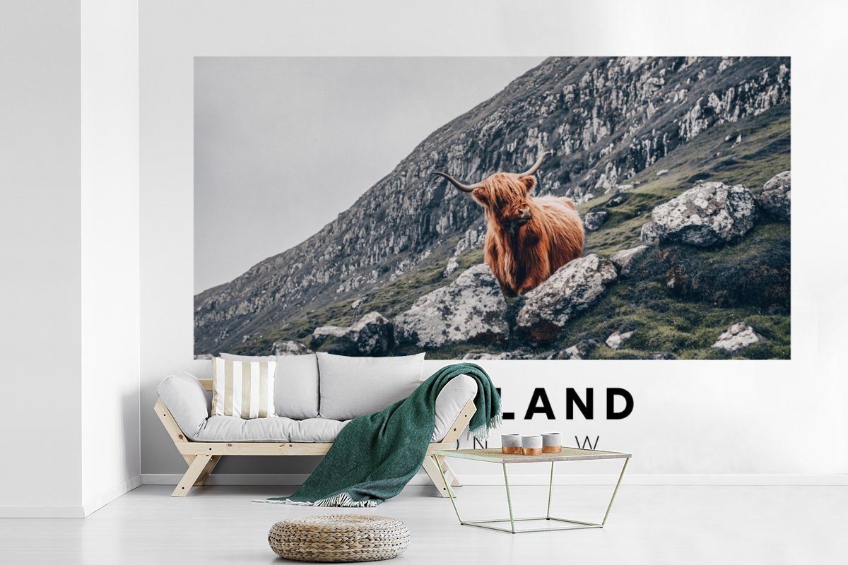 Fototapete Wohnzimmer, - MuchoWow Schottische - Kinderzimmer, St), Schottland Vinyl Berge Highlander Tapete Wallpaper für Matt, - (6 Schlafzimmer, bedruckt, Tiere,