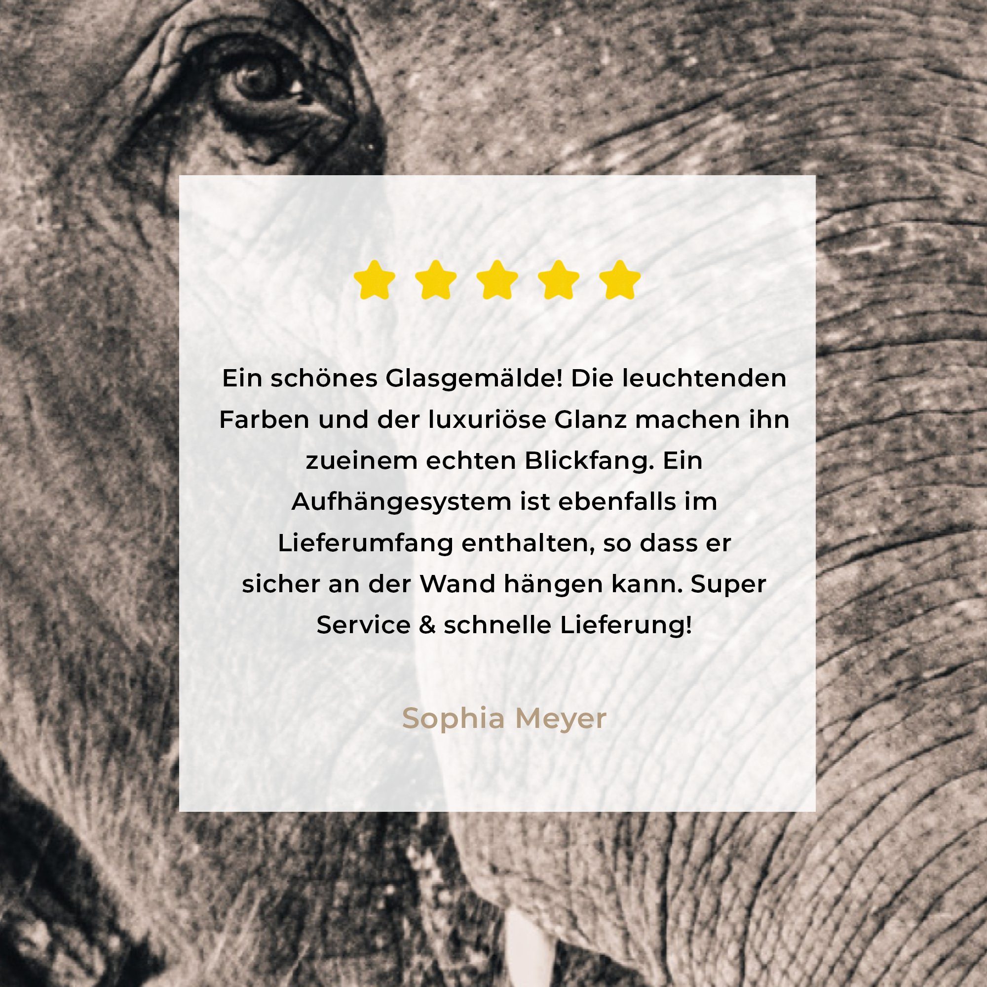 Acrylglasbilder MuchoWow Schwarz Weiß, (1 & Schlafzimmer Acrylglasbild - - St), Porträt Elefant - Wohnzimmer