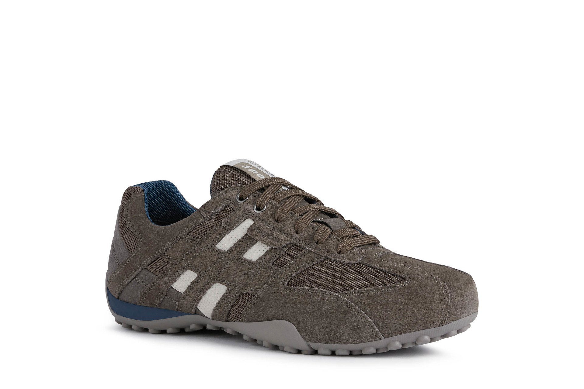 Geox Sneaker dove grey