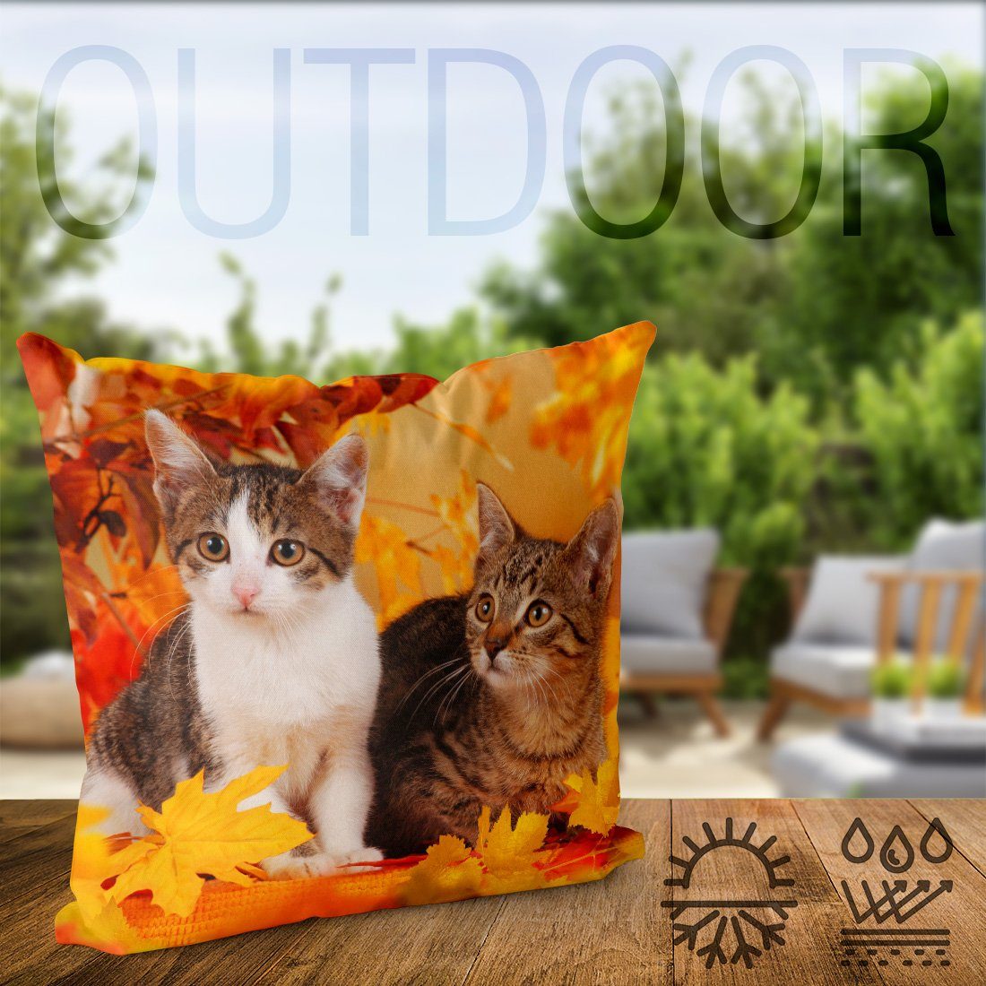 Katze Kätzchen grau Kartäuser Stück), Tier VOID Kissenbezug Sofa-Kissen Herbst Kissenbezug, (1 Katzen Scottish Haustier