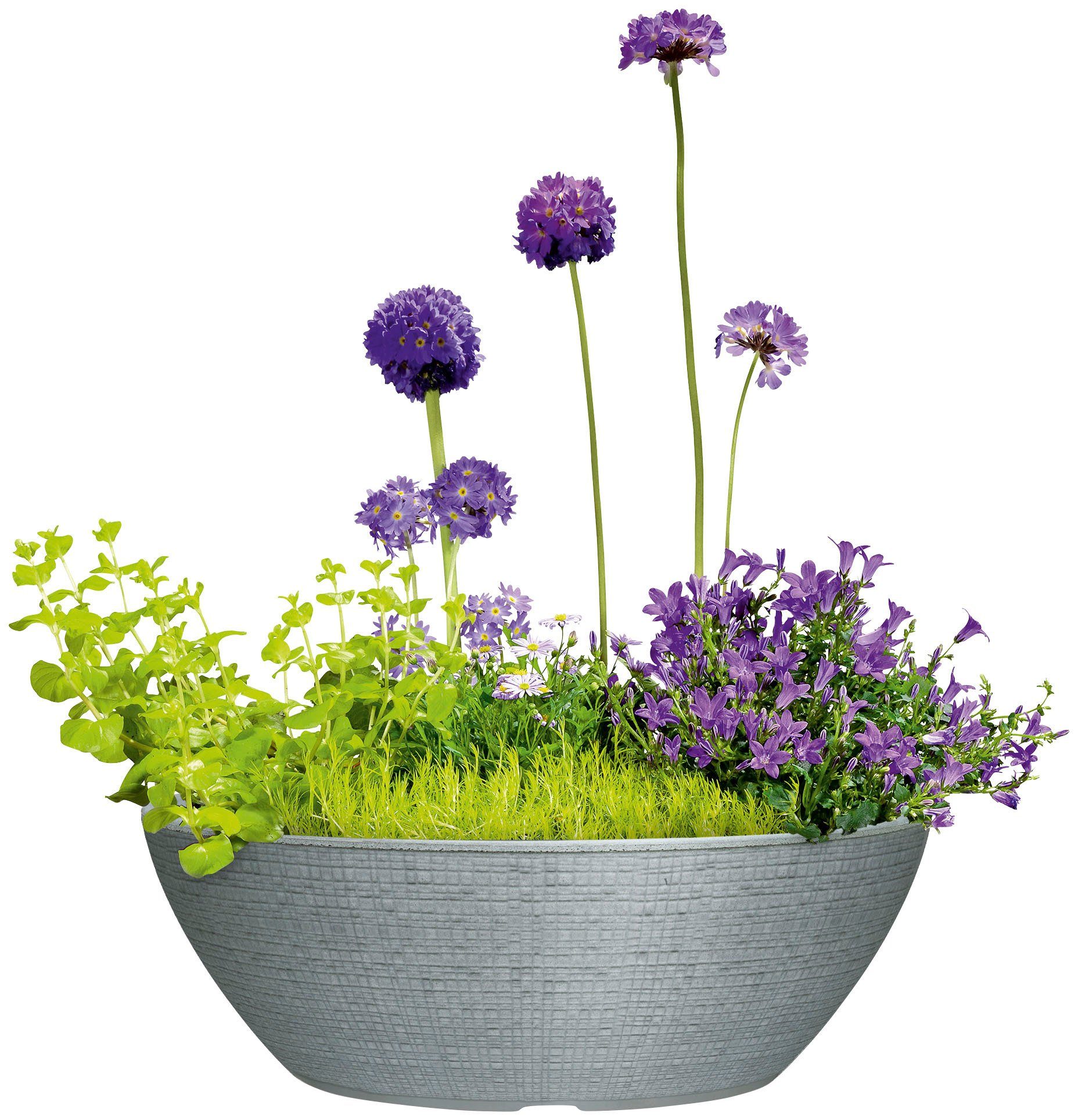 JARDINIERE grau 60/298 Scheurich Blumentopf BARCEO