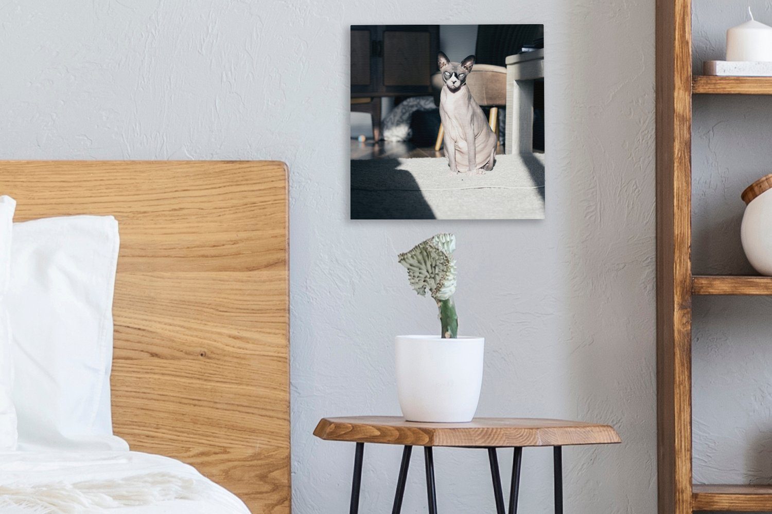 OneMillionCanvasses® Leinwandbild Sonnenstrahlen St), Sphynx-Katze, auf Schlafzimmer Leinwand der Bilder für Wohnzimmer (1