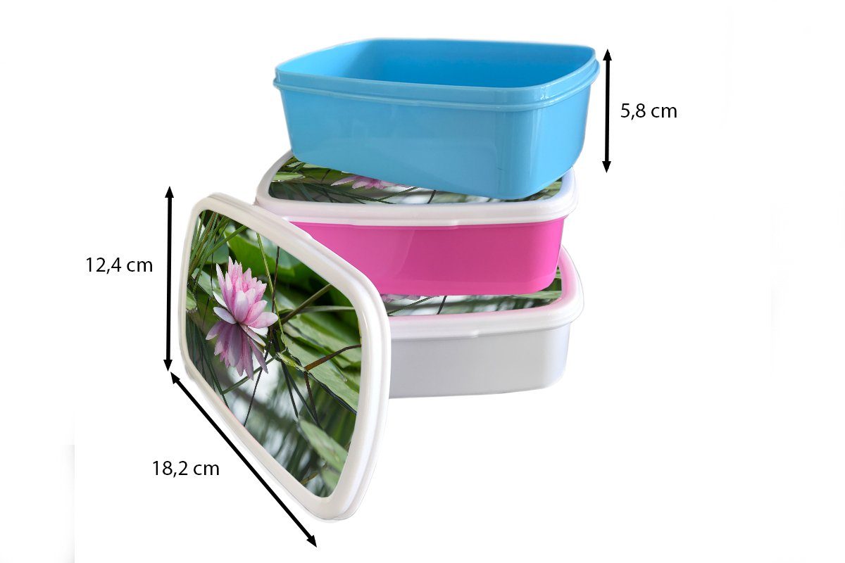 - rosa Lotus (2-tlg), Brotbox Kunststoff, Snackbox, - Kunststoff für MuchoWow Lunchbox Blumen Kinder, Erwachsene, Brotdose Mädchen, Wasser,