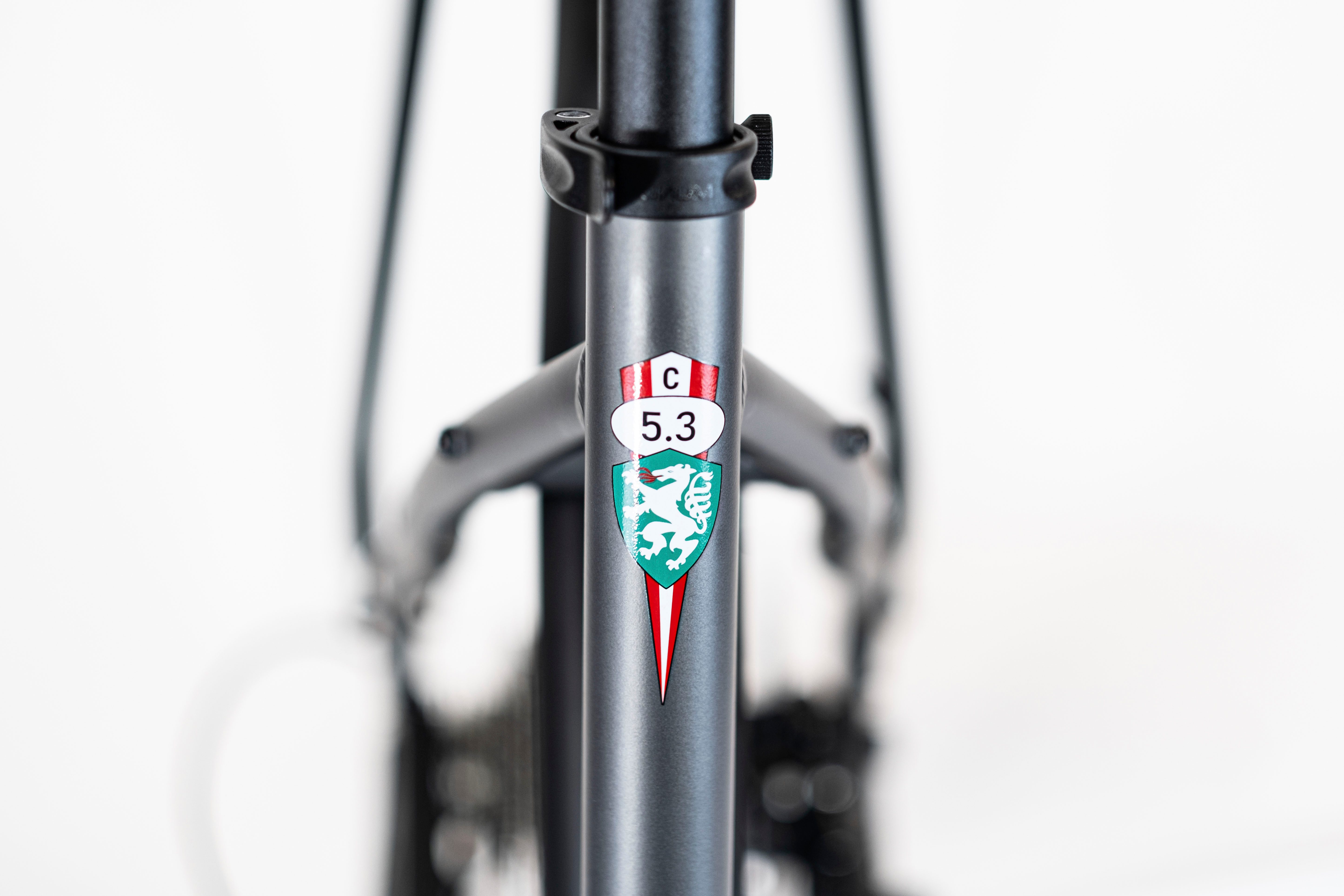 PUCH E-Bike Trekkingrad PUCH C 5.3 City – Bosch ACTIVE LINE PLUS Motor & 500Wh PowerTube Akku, Shimano Alivio RDM3100 Schaltwerk, Mittelmotor, 500 Wh, BOSCH ACTIVE LINE PLUS, Mittelmotor