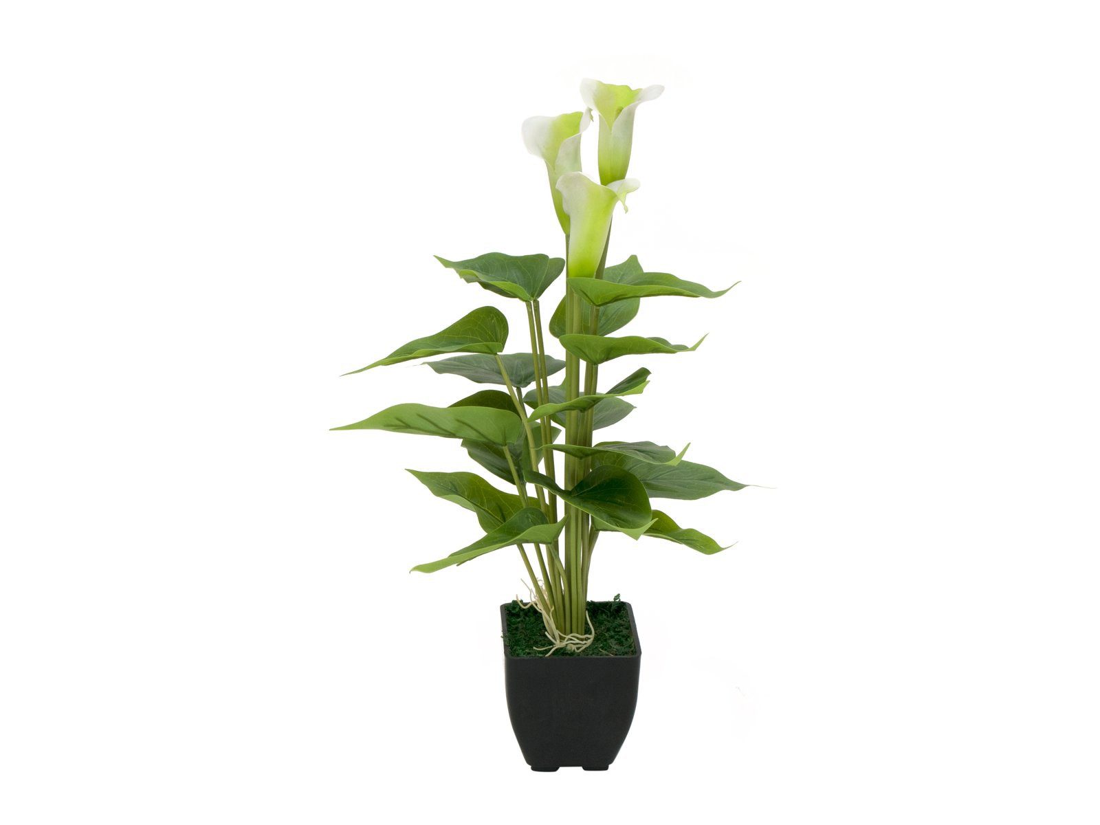 Kunstpflanze Calla mini, weiß, 43cm, EUROPALMS