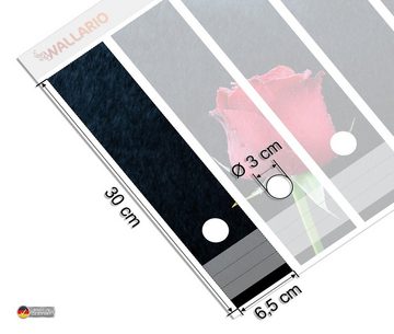Wallario Etiketten Rose vor dunklem Hintergrund, Ordnerrücken-Sticker in verschiedenen Ausführungen