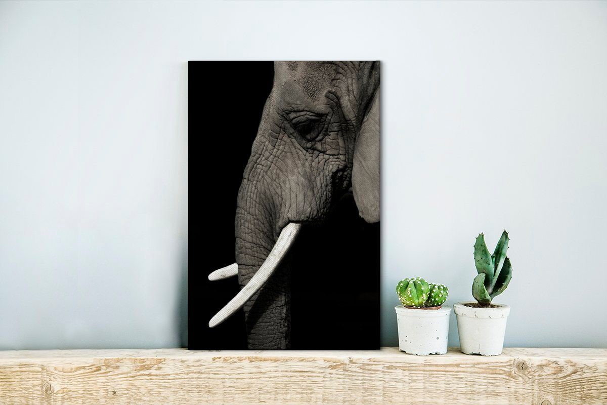 Leinwandbild bespannt Leinwandbild Stoßzähnen, Gemälde, großen OneMillionCanvasses® St), (1 Zackenaufhänger, mit fertig cm inkl. 20x30 Elefant