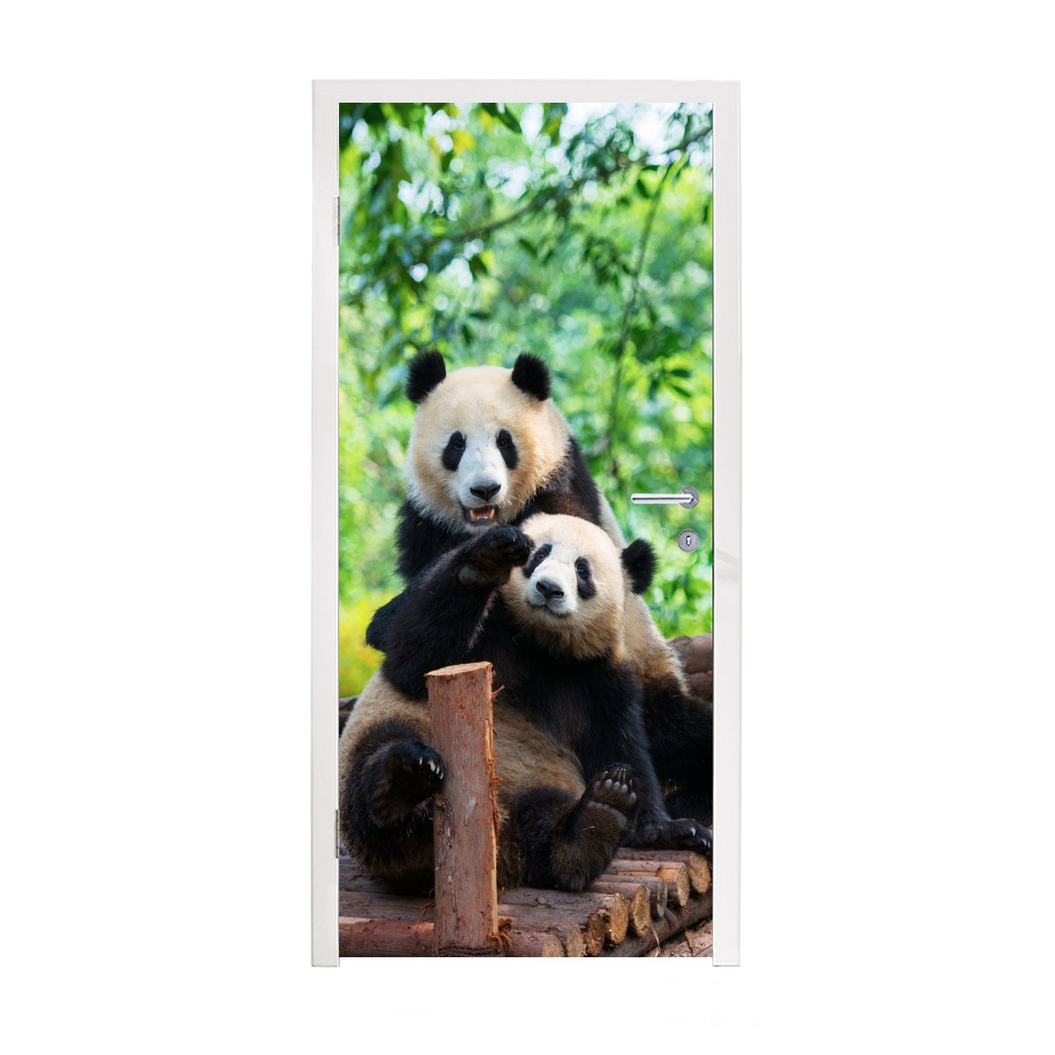 für bedruckt, (1 St), cm Türtapete Panda 75x205 - Natur, Fototapete Tür, Türaufkleber, Brücke Matt, MuchoWow -