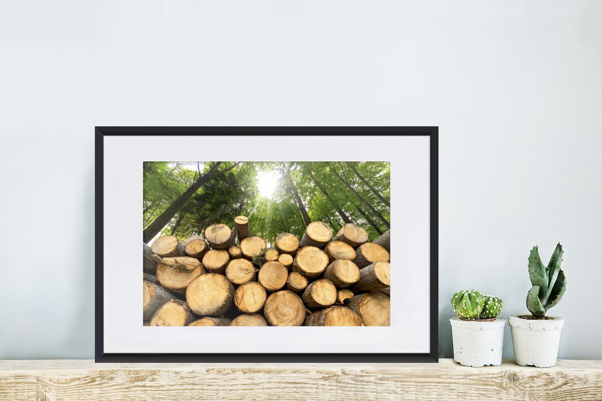 - Gerahmtes mit (1 Schwarzem - Bilderrahmen Holz Wald, Poster, MuchoWow Kunstdruck, Rahmen, St), Bäume Poster