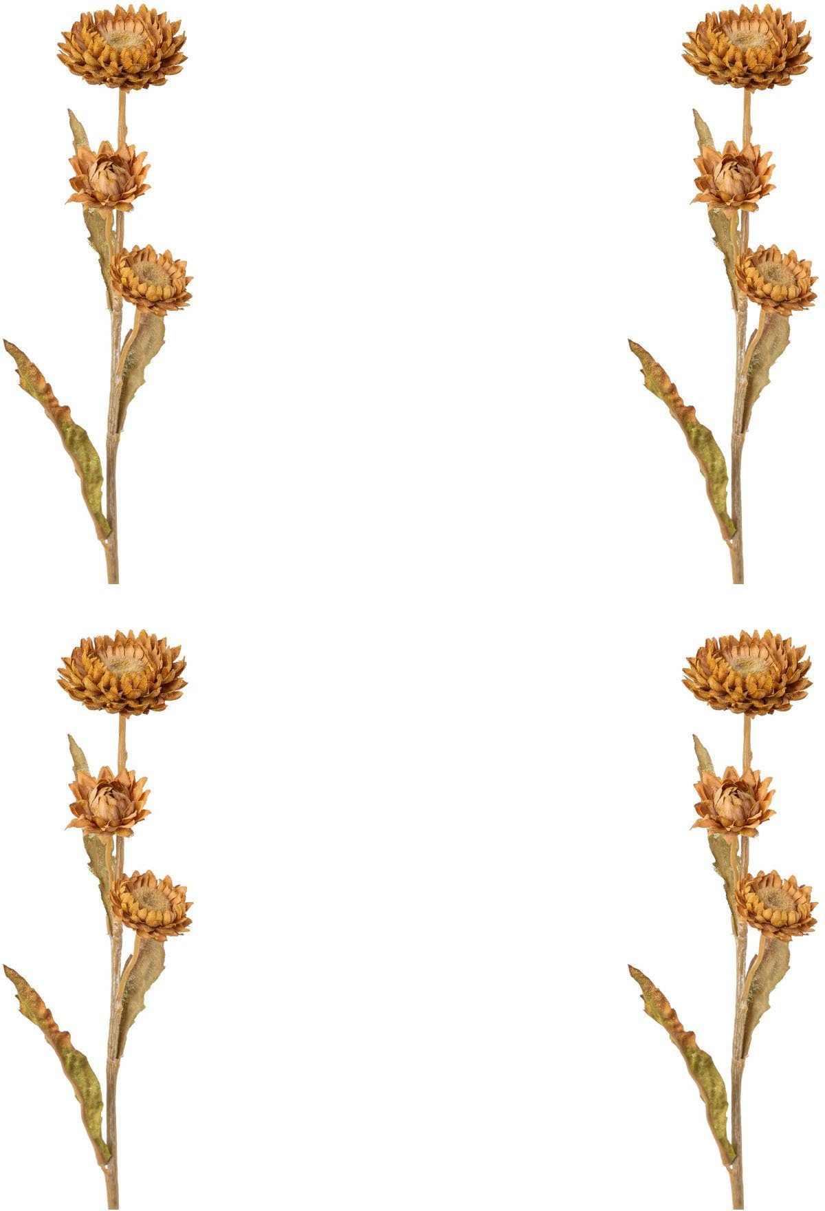 Kunstblume Strohblume Strohblume, Creativ green, Höhe 61 cm