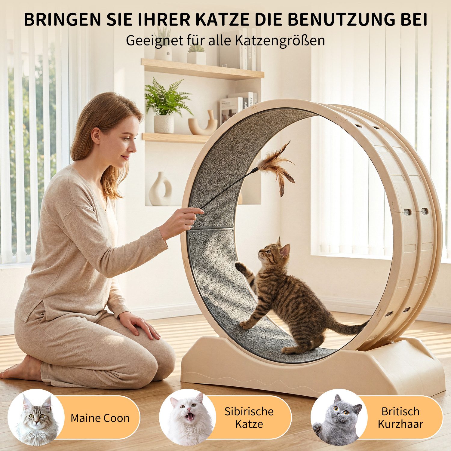 oyajia Tier-Aktivitätsspiel Tierlaufrad, Katzenlaufband, Laufband für Katzen, Zimmerläufer, PP-Kunststoff