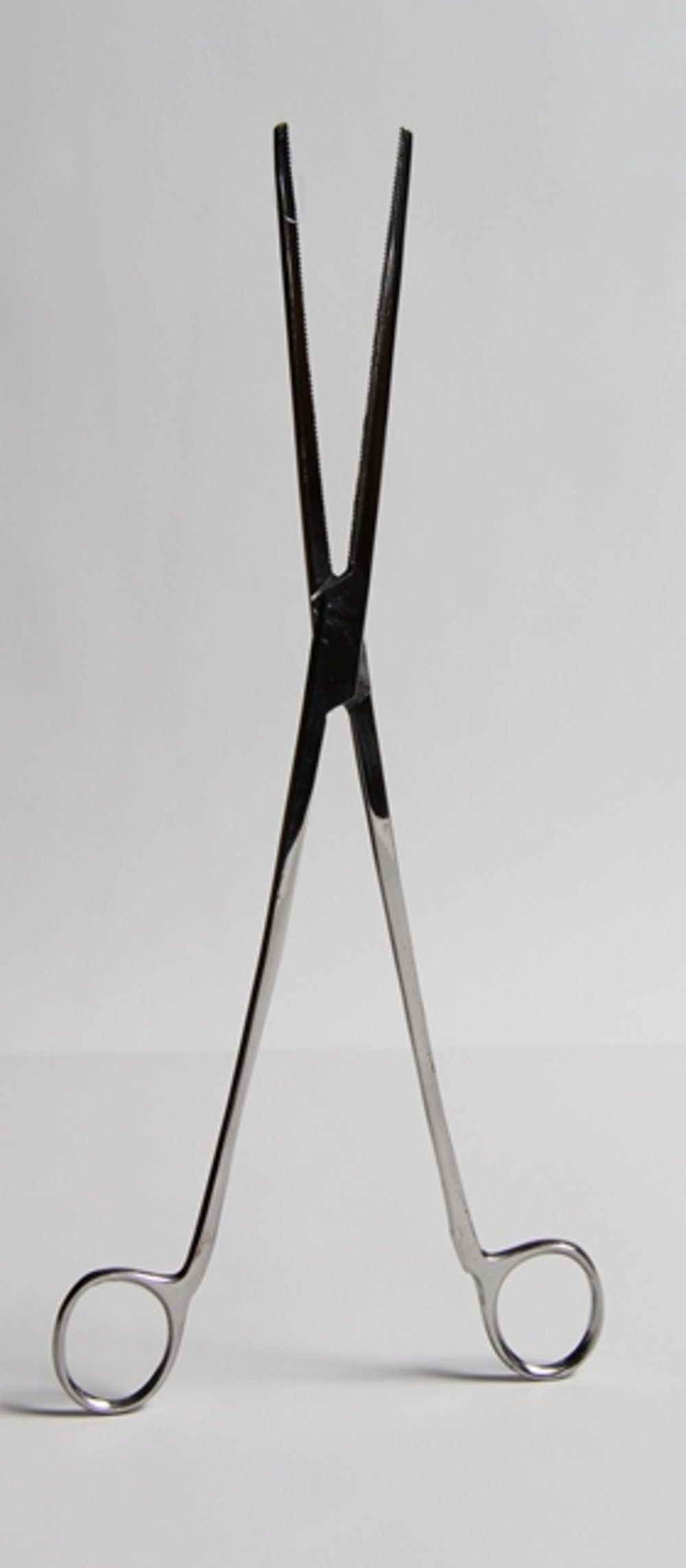 Terrarium Zange, groß, ohne Sperre (ca. 30cm)