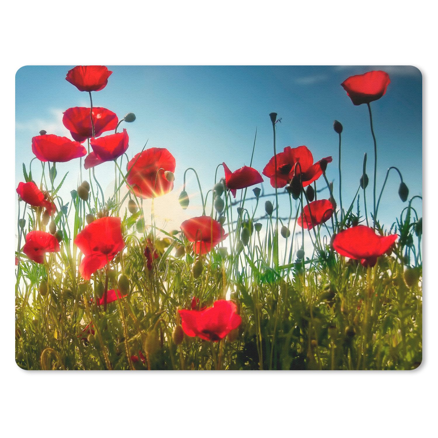 MuchoWow Mauspad Mohnblumen - Toskana - Sonne - Rot - Blau (1-St), Gaming, Mousepad Klein, Büro Zubehör, Mausunterlage, 23x19 cm