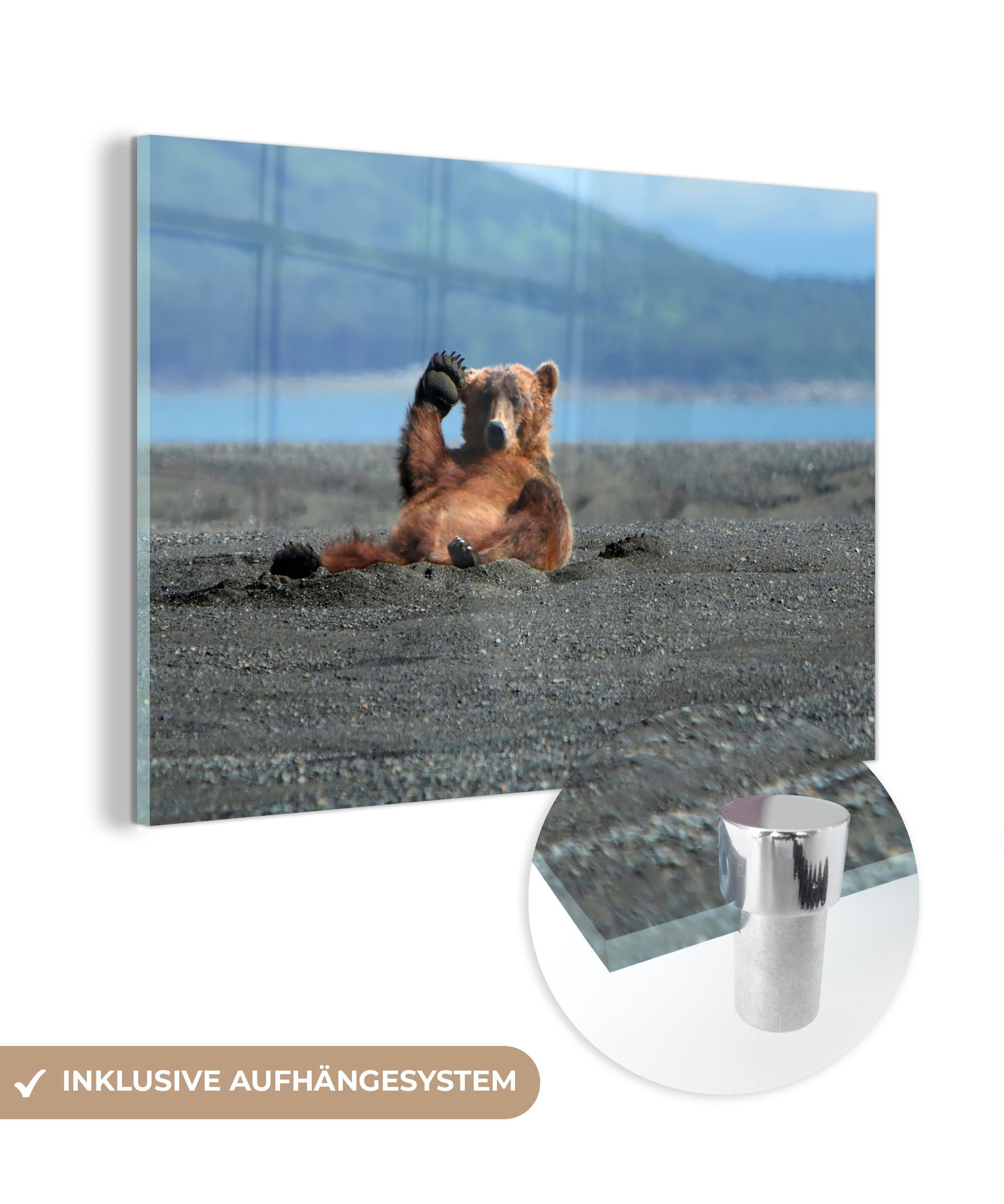 MuchoWow Acrylglasbild Bild eines Grizzlybären, der seine Pfote hebt, (1 St), Acrylglasbilder Wohnzimmer & Schlafzimmer