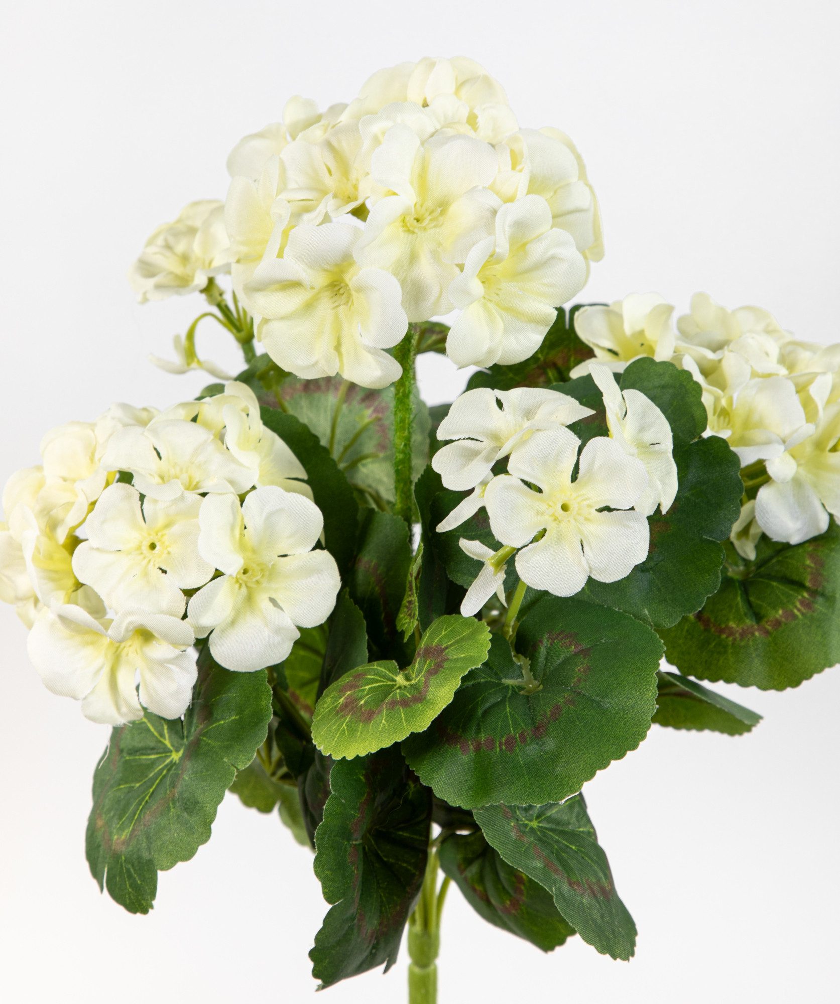 Kunstblume Geranie 32cm LM Kunstpflanzen künstliche Blumen Pflanzen Pelargonium, Seidenblumen Roß, Höhe 32 cm, Weiß – Bild 2 von 4