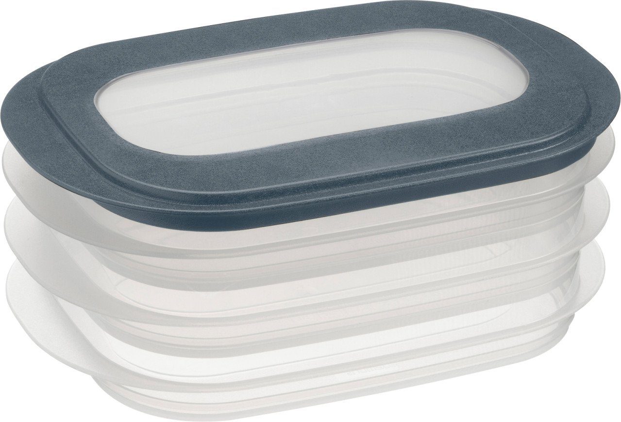 Sunware Vorratsdose Sunware Aufschnittsdose Sigma Home 3er, Blei