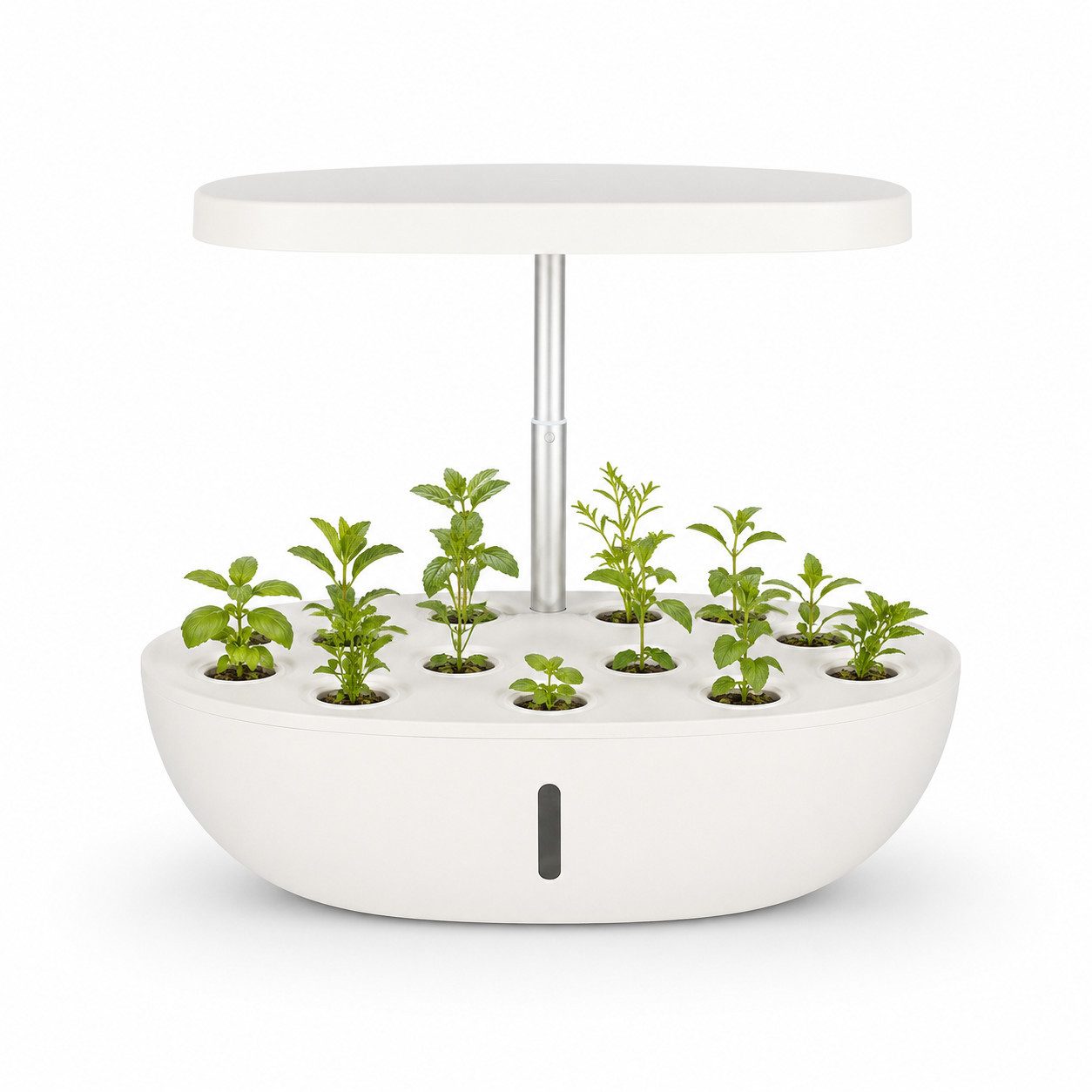 Tekoo Pflanzenlampe Hydroponik System Indoor Garten mit LED Wachstumslicht für 13 Pods, LED, Farbspektrum für Pflanzen, Tageslichtweiß, ntelligentes Wasserzirkulationssystem,12Pflanzplätze,Vollspektrum-LED