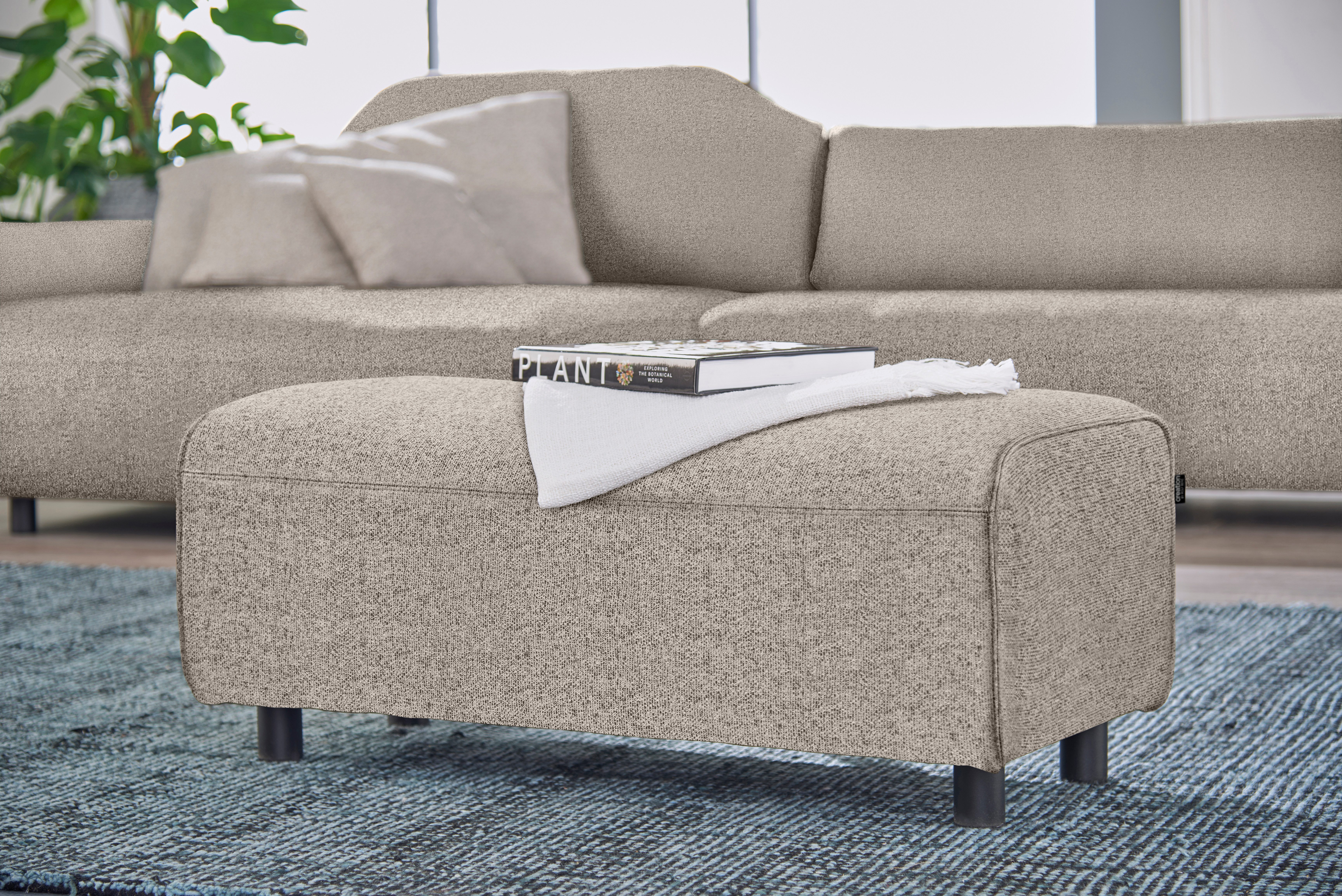 graubeige / natur 044-20 | Korpus: graubeige