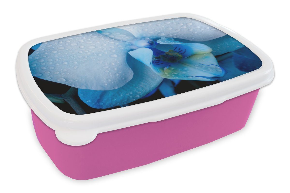 MuchoWow Lunchbox Blumen Snackbox, Kunststoff - Erwachsene, Brotdose (2-tlg), Kinder, Brotbox Kunststoff, Mädchen, rosa für Wasser, - Blau