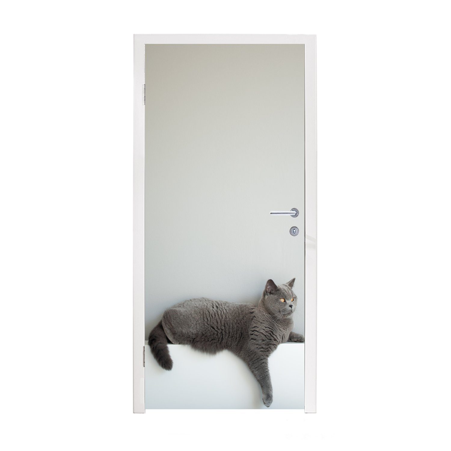 MuchoWow Türtapete Katze - Britisch Kurzhaar - Grau - Mädchen - Kinder - Jungen - Kinder, Matt, bedruckt, (1 St), Fototapete für Tür, Türaufkleber, 75x205 cm