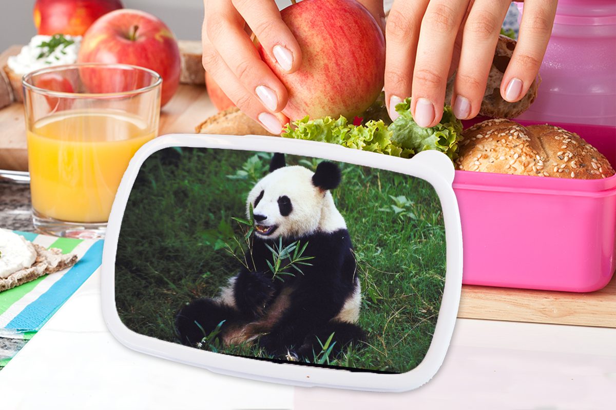 Erwachsene, rosa Gras, Panda Kinder, MuchoWow Snackbox, Tiere für Bambus Kunststoff, - Mädchen, Lunchbox Wilde Kunststoff (2-tlg), - Brotbox - Brotdose