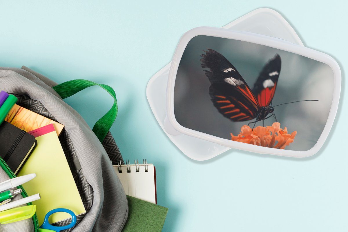 Schmetterling und und Blume - Mädchen (2-tlg), MuchoWow Kinder Insekt, weiß - Kunststoff, für Erwachsene, Lunchbox Brotdose, Brotbox Jungs für