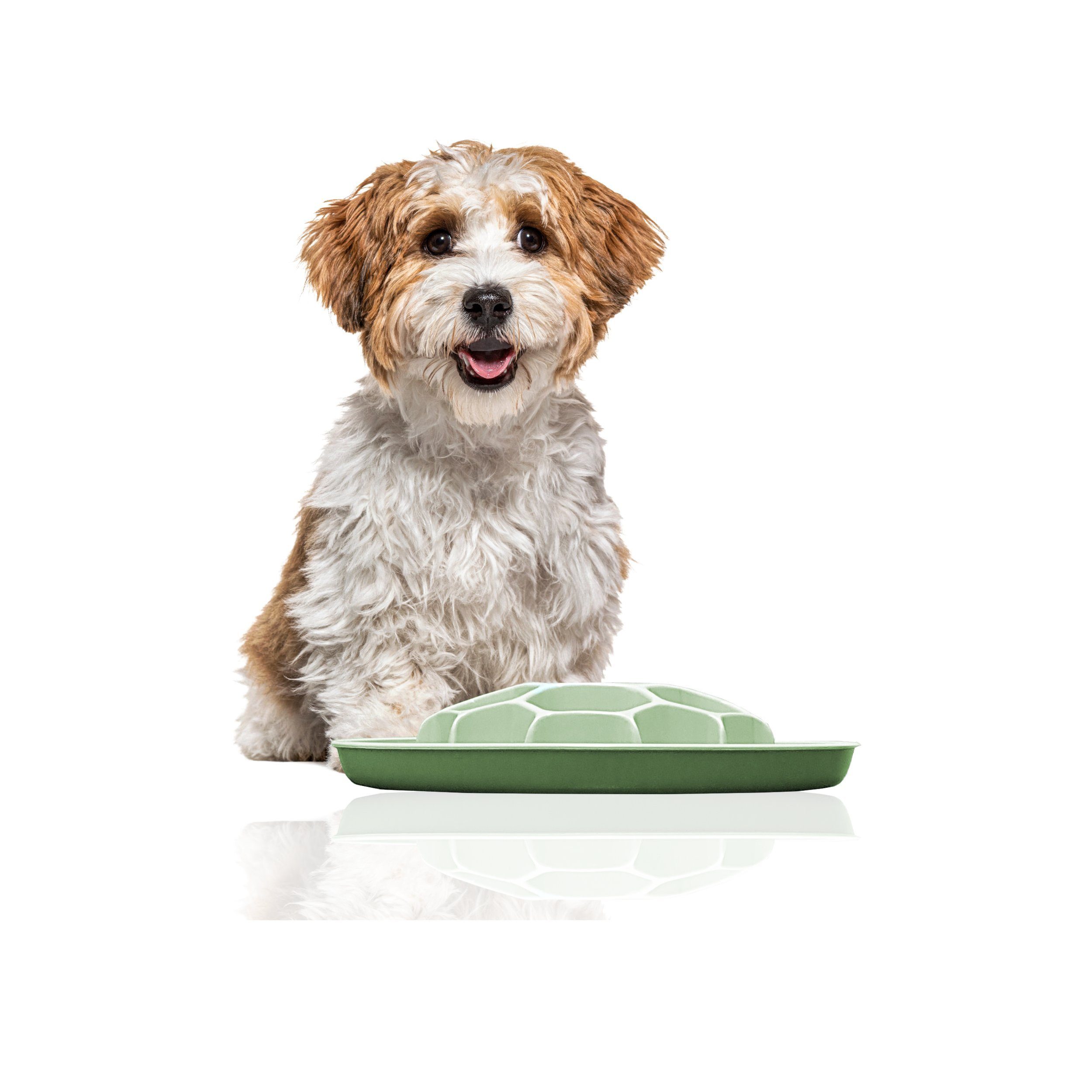 Rohrschneider Hunde-Futterspender