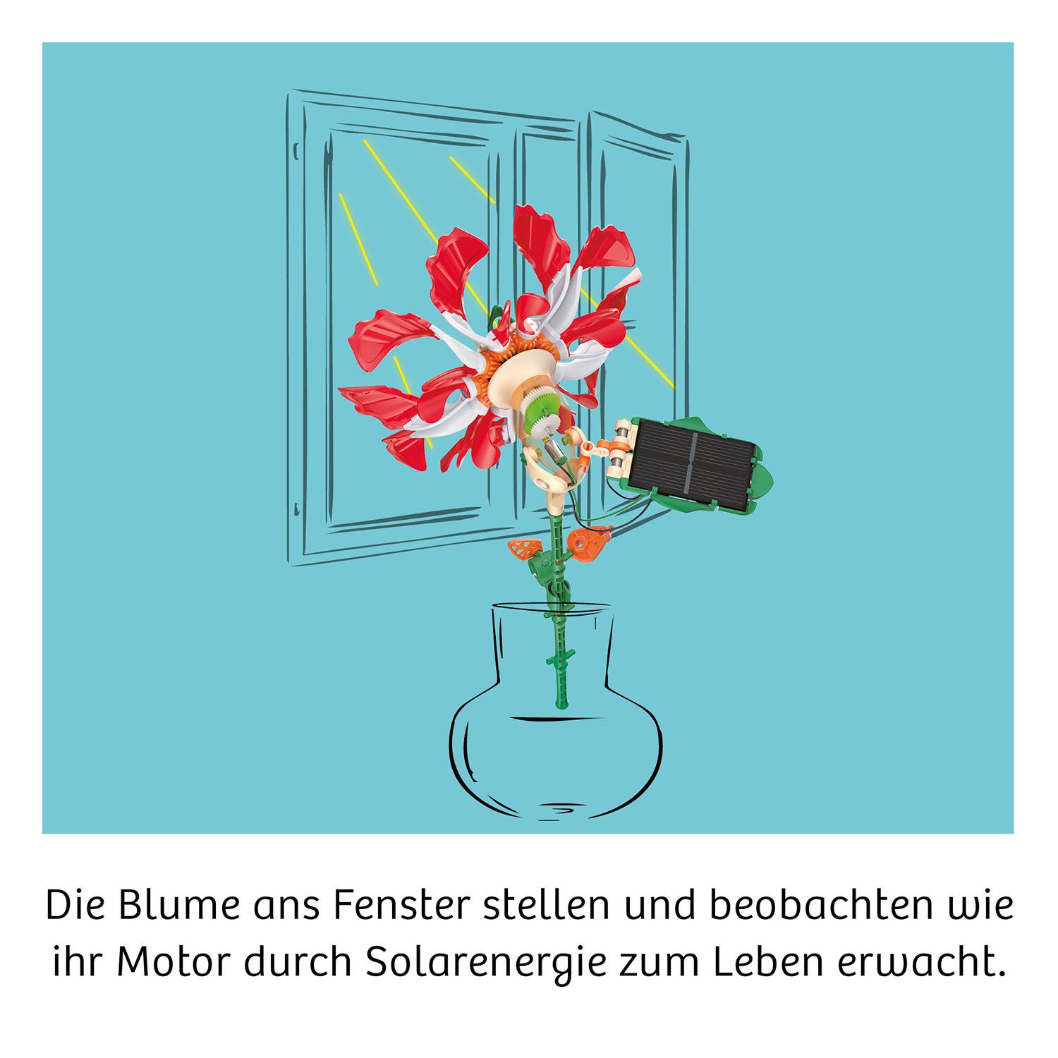 Kosmos Experimentierkasten Solar-Flower