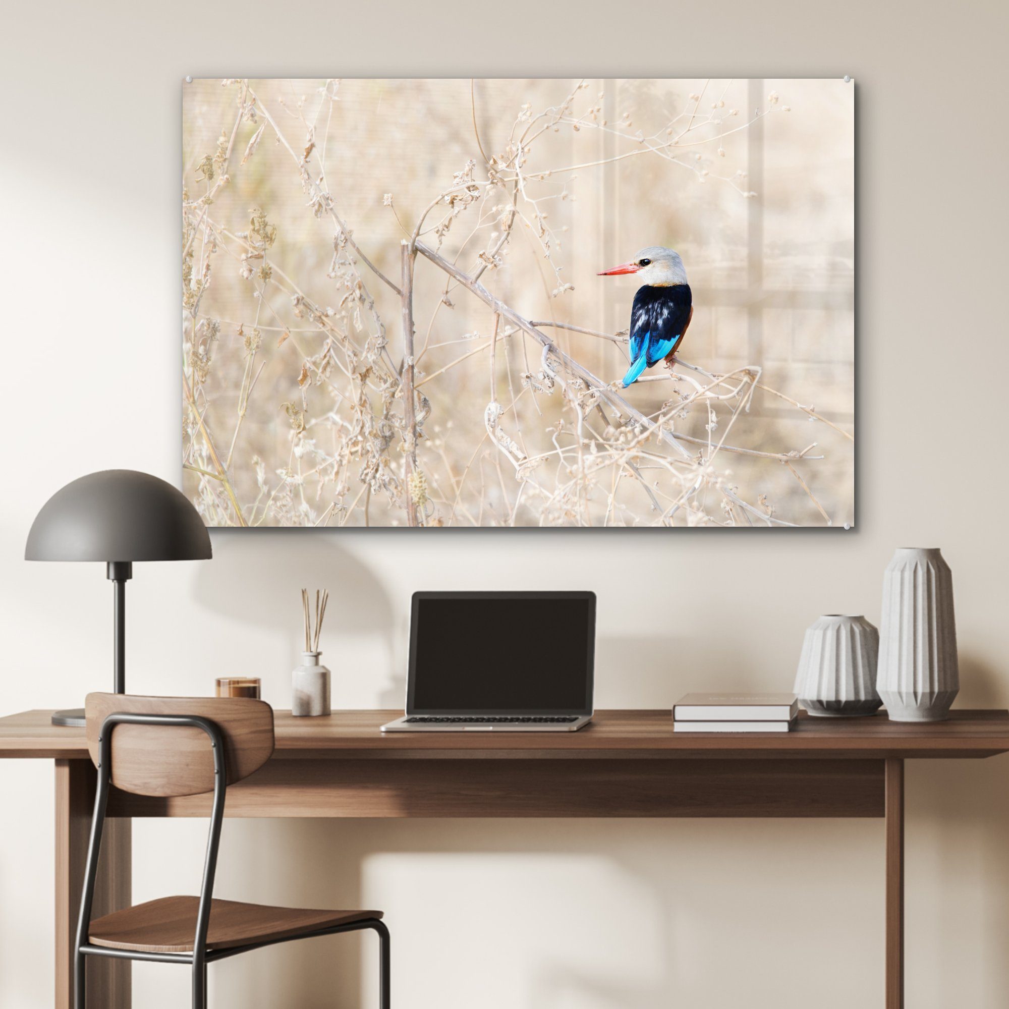 Acrylglasbilder trockenen, & der Wohnzimmer (1 MuchoWow Schlafzimmer Foto in Hervorragendes eines Acrylglasbild St), Graukopf-Eisvogels