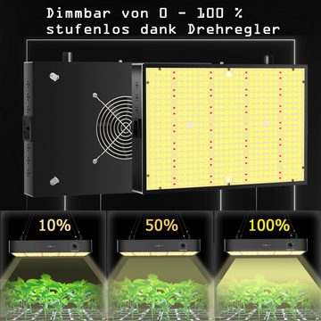 JUNG Gewächshaus Growbox Komplettset Anzuchtset mit Zuchtzelt LED Lampe, Anbau Pflanzen, BxTxH: 80 x 80 x 180,00 cm, Growbox, Gewächshaus Komplett Set mit Abluft Cannabis Set Box Pflanze, Growzelt, Grow Box Zelt, Pflanzenlampe Pflanzen Anbau Zelt, Anzuchtset, mit Belüftung Gewächszelt Starterpaket sofort einsatzbereit Anzucht